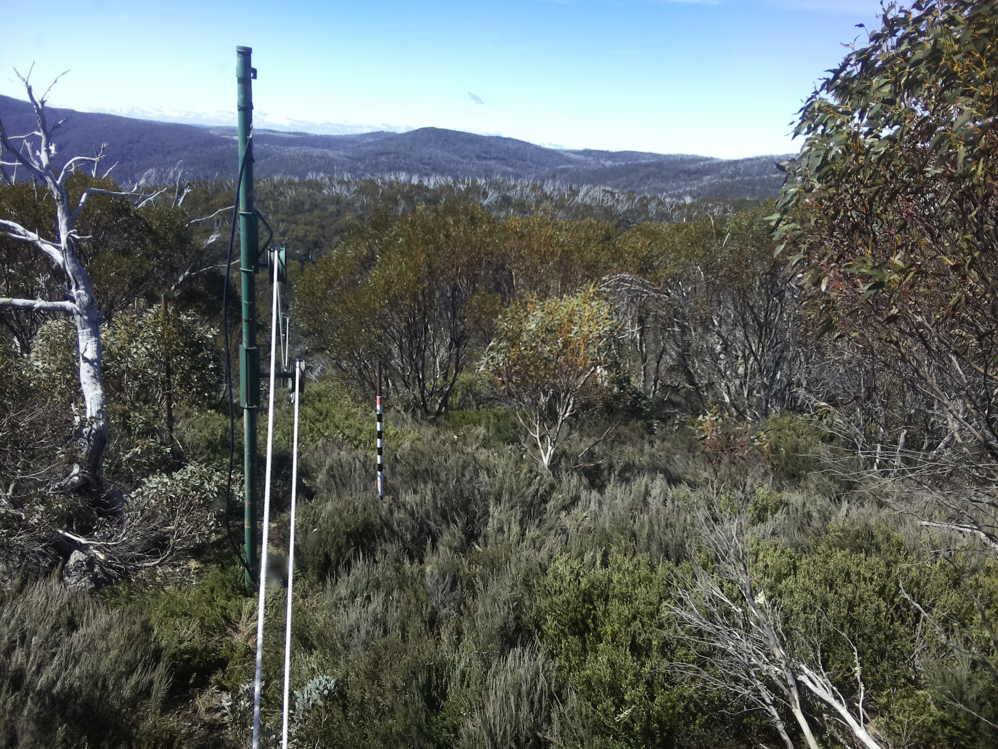 Bogong Web Cam 11:10am Thursday 23rd of October 2025