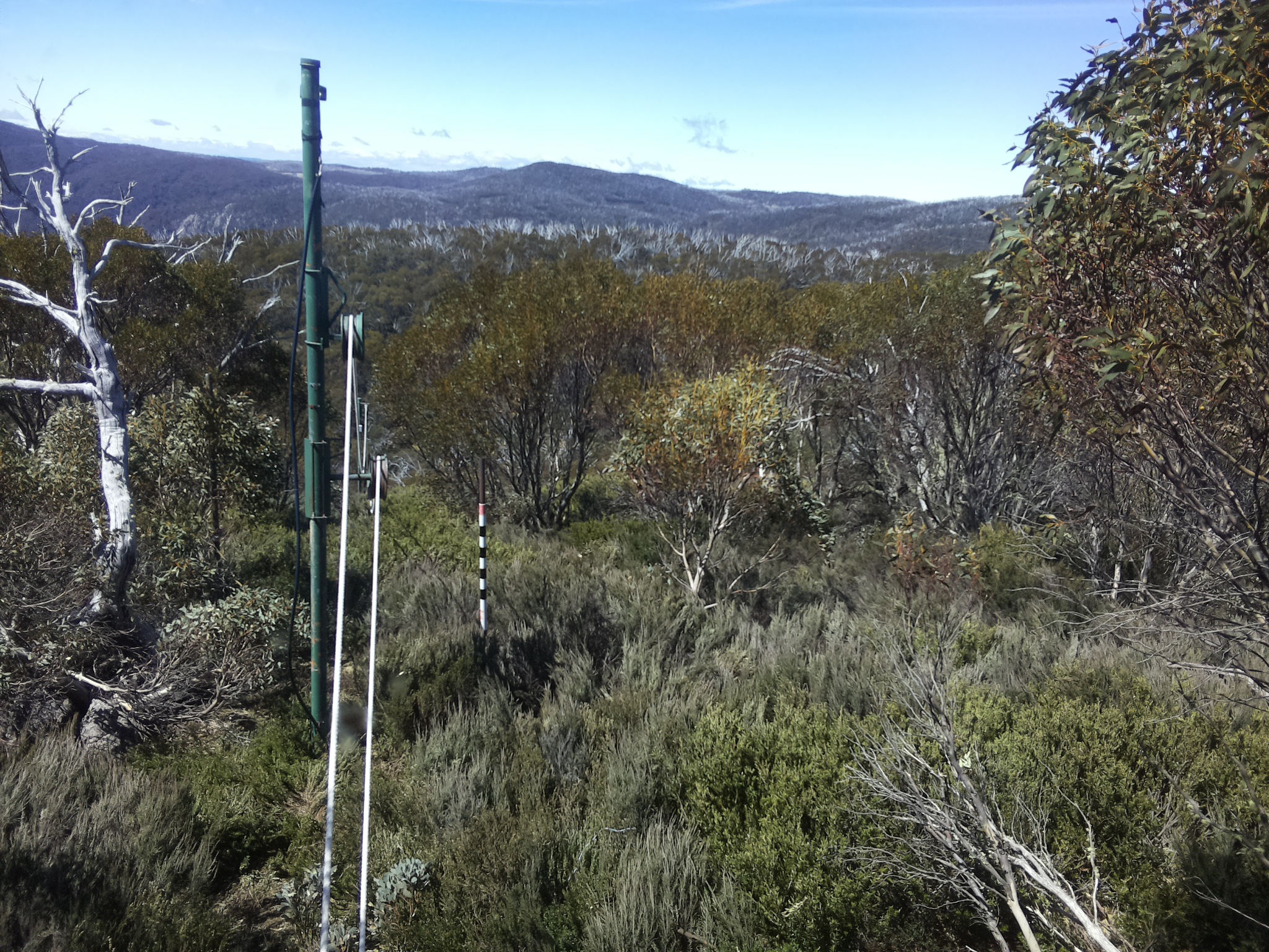 Bogong Web Cam 11:40am Thursday 23rd of October 2025