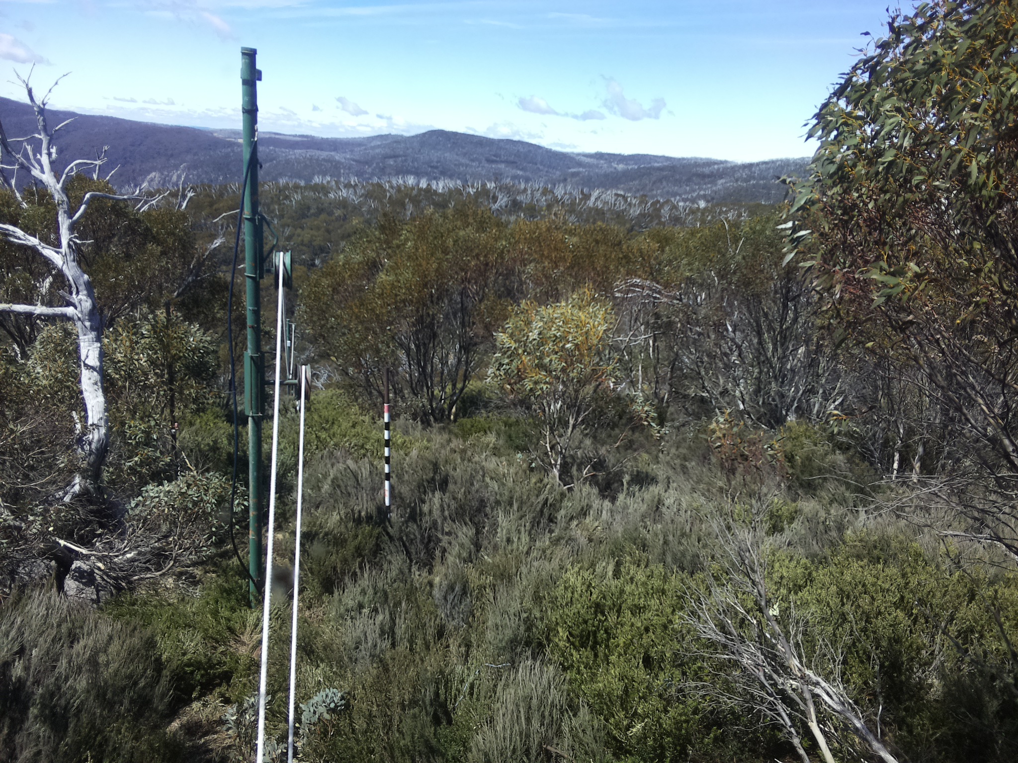 Bogong Web Cam 12:00pm Thursday 23rd of October 2025