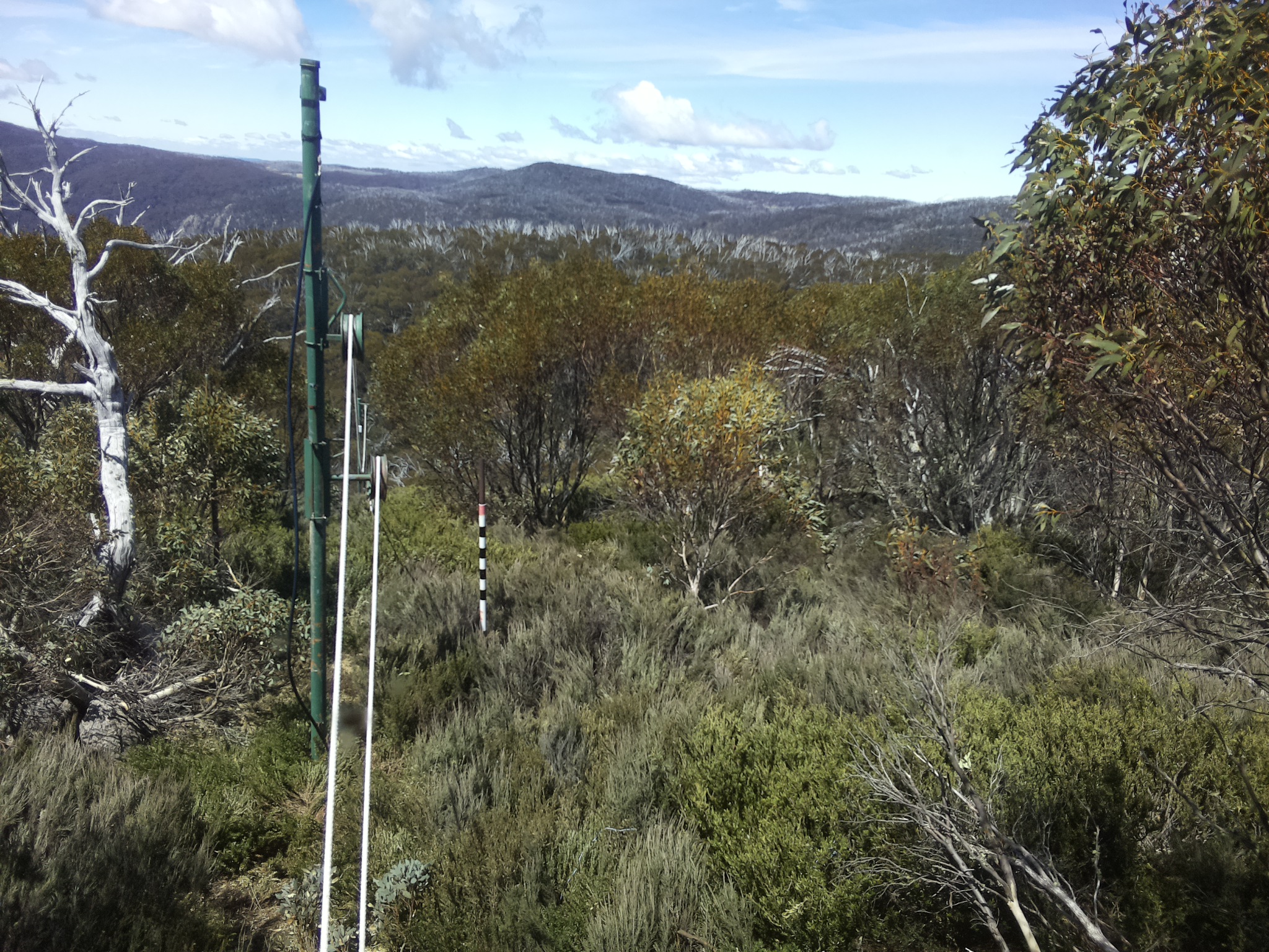 Bogong Web Cam 12:30pm Thursday 23rd of October 2025