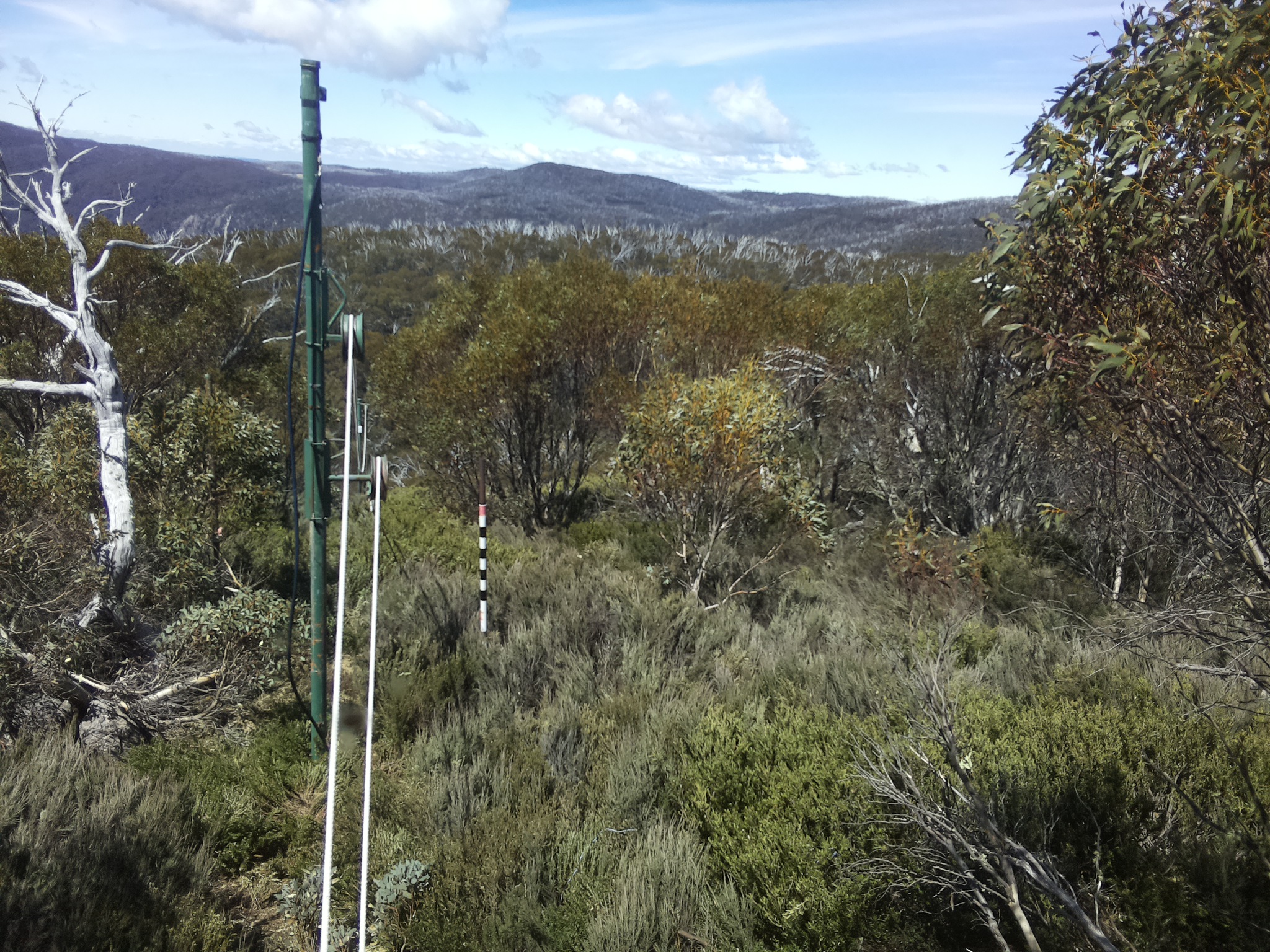 Bogong Web Cam 12:40pm Thursday 23rd of October 2025