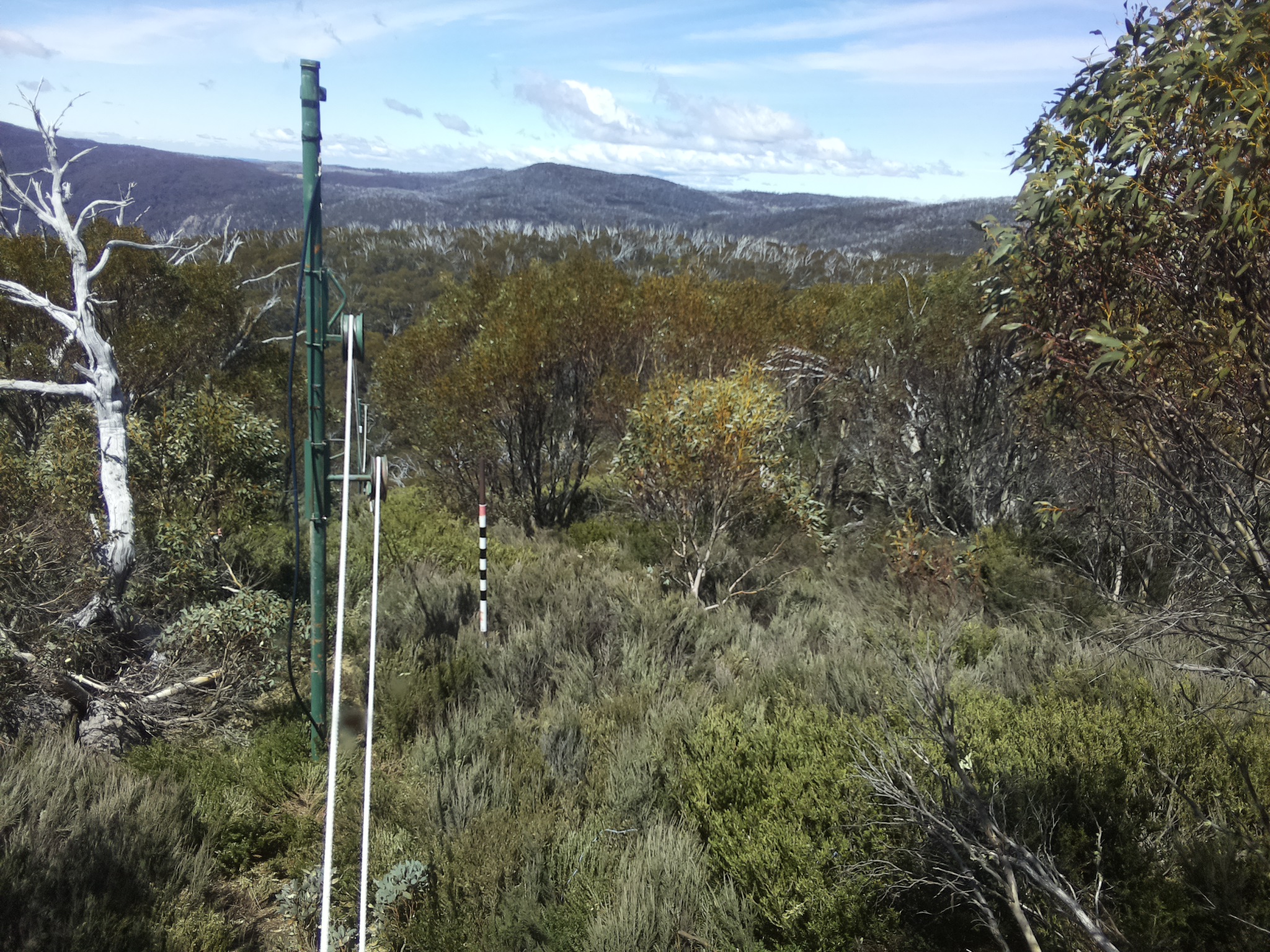 Bogong Web Cam 12:50pm Thursday 23rd of October 2025