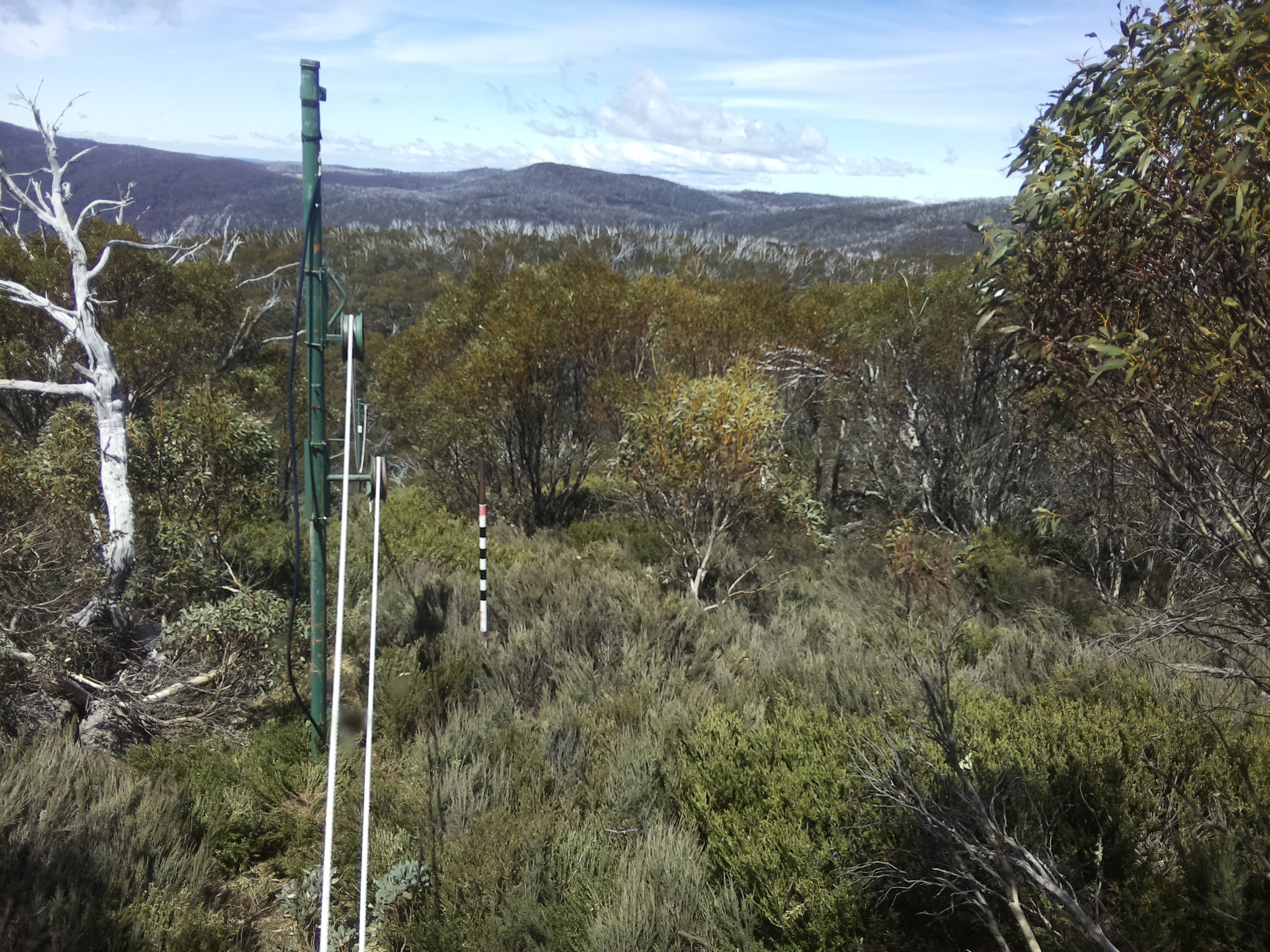 Bogong Web Cam 1:00pm Thursday 23rd of October 2025