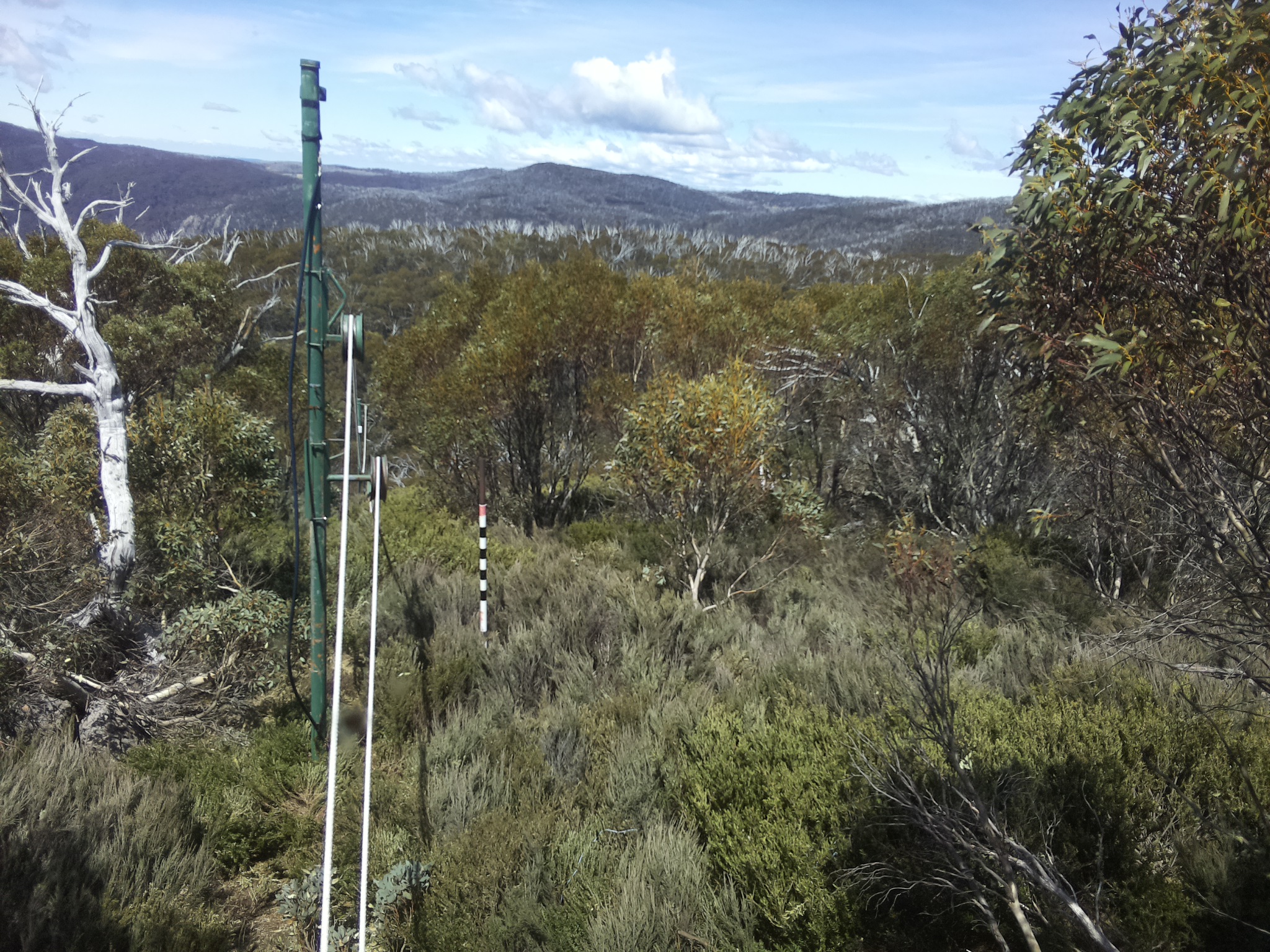 Bogong Web Cam 1:10pm Thursday 23rd of October 2025