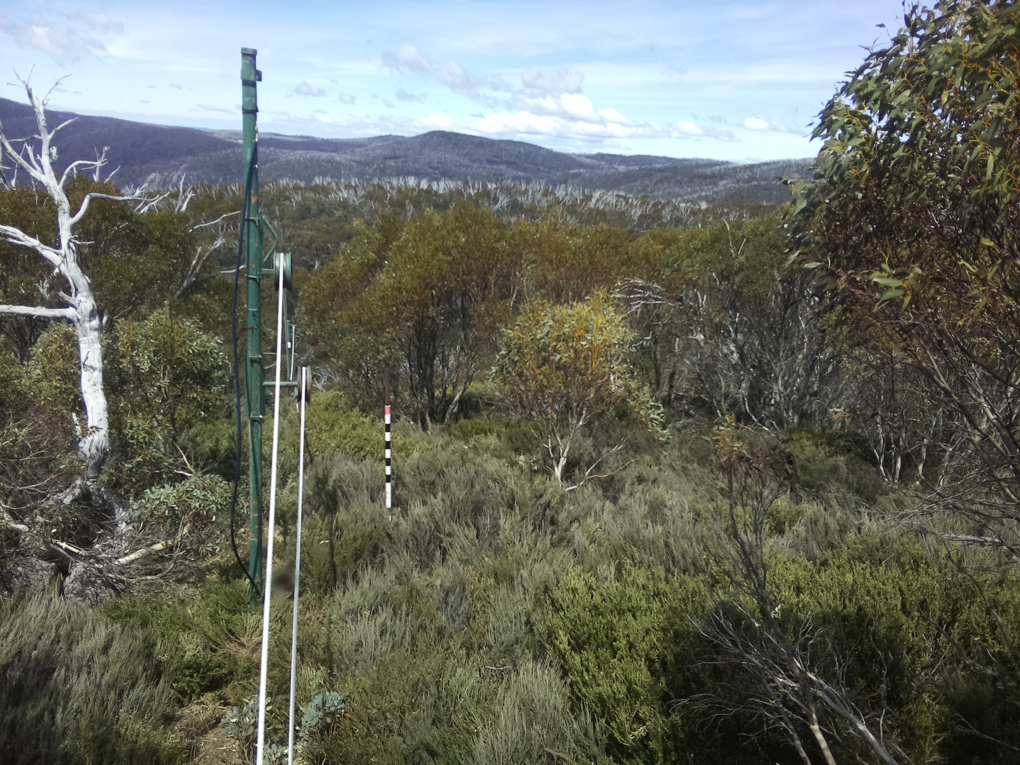 Bogong Web Cam 1:20pm Thursday 23rd of October 2025
