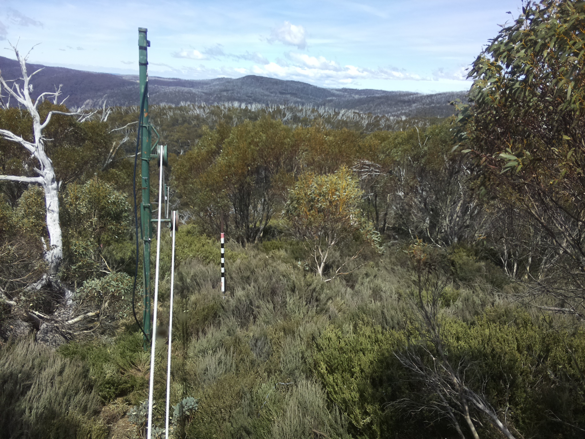 Bogong Web Cam 1:30pm Thursday 23rd of October 2025