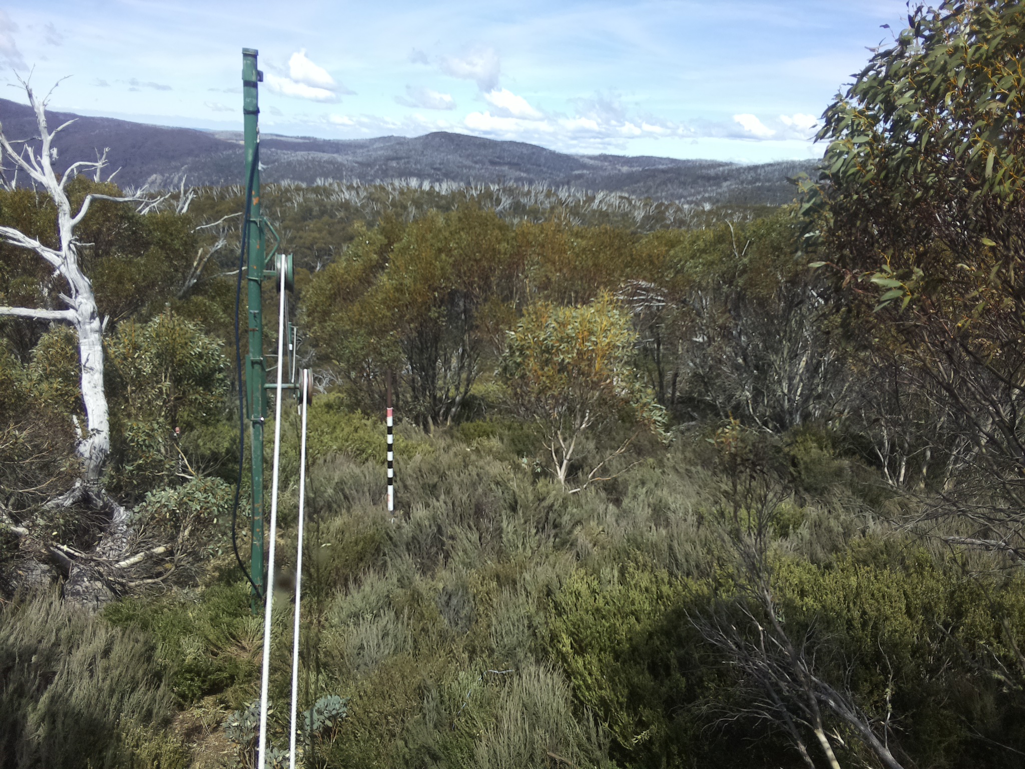 Bogong Web Cam 1:40pm Thursday 23rd of October 2025