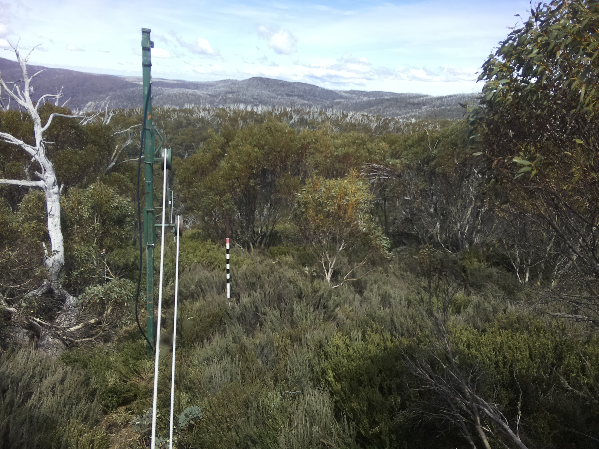 Bogong Web Cam 1:50pm Thursday 23rd of October 2025