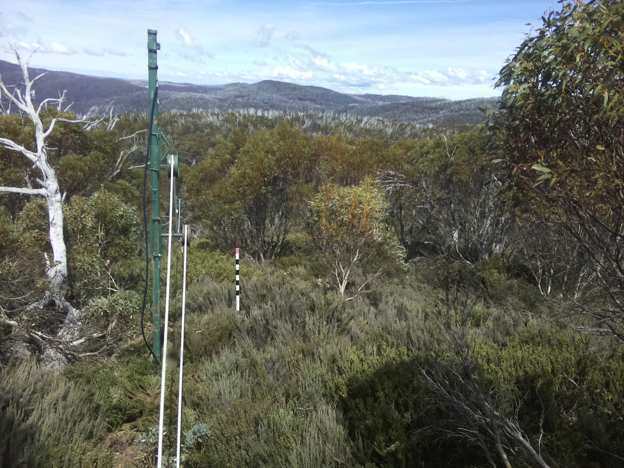 Bogong Web Cam 2:00pm Thursday 23rd of October 2025