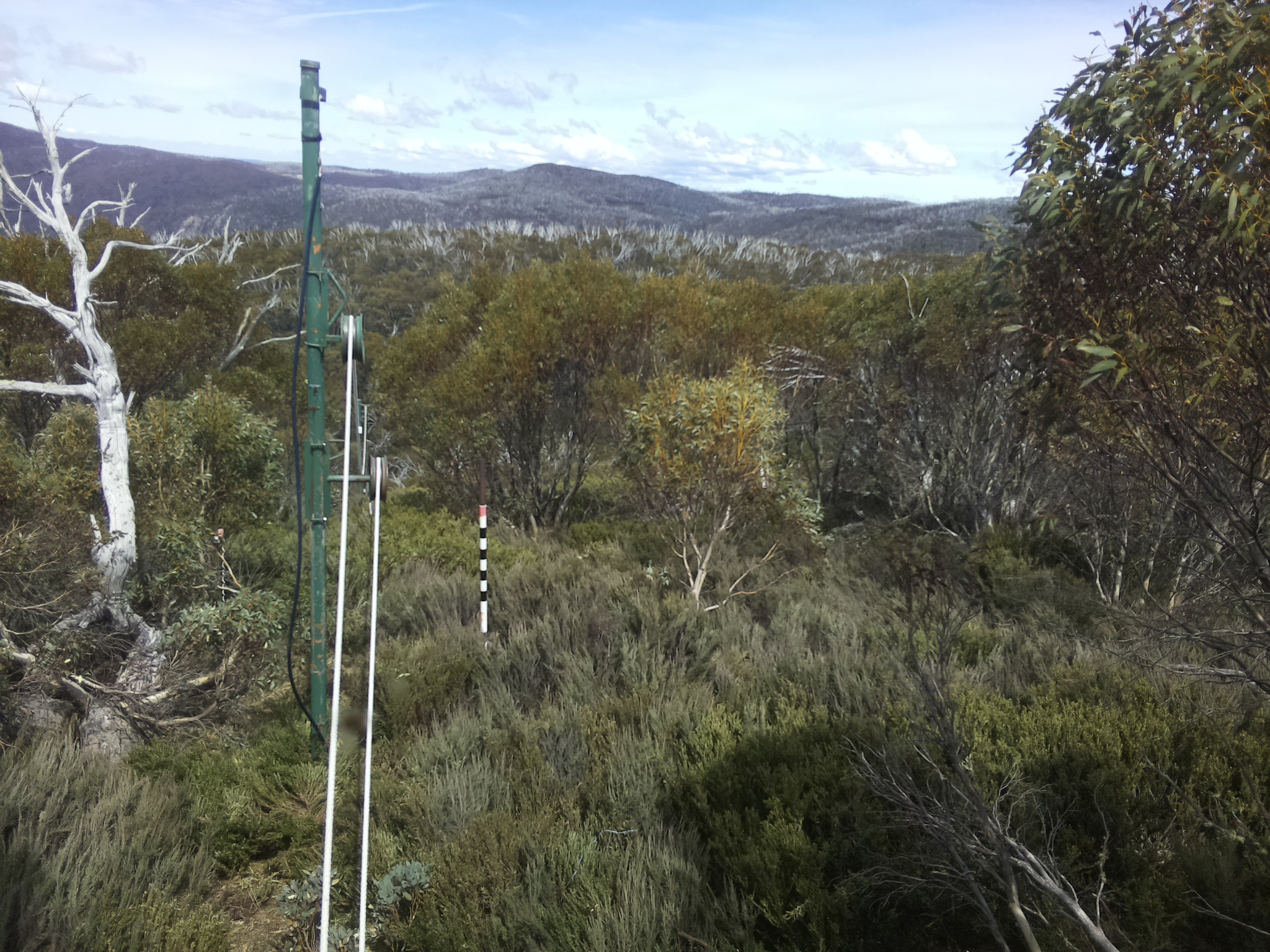 Bogong Web Cam 2:10pm Thursday 23rd of October 2025