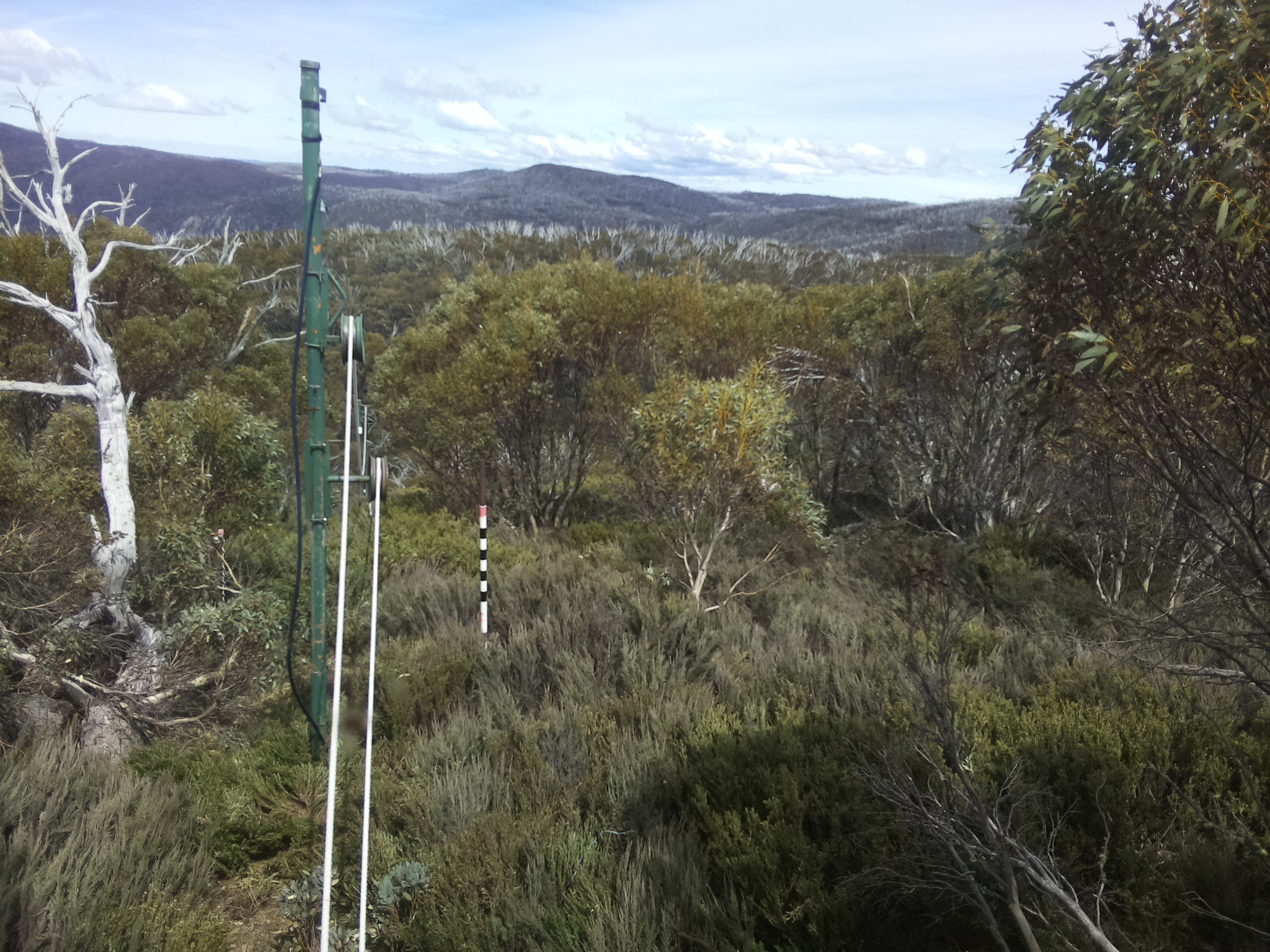 Bogong Web Cam 2:20pm Thursday 23rd of October 2025