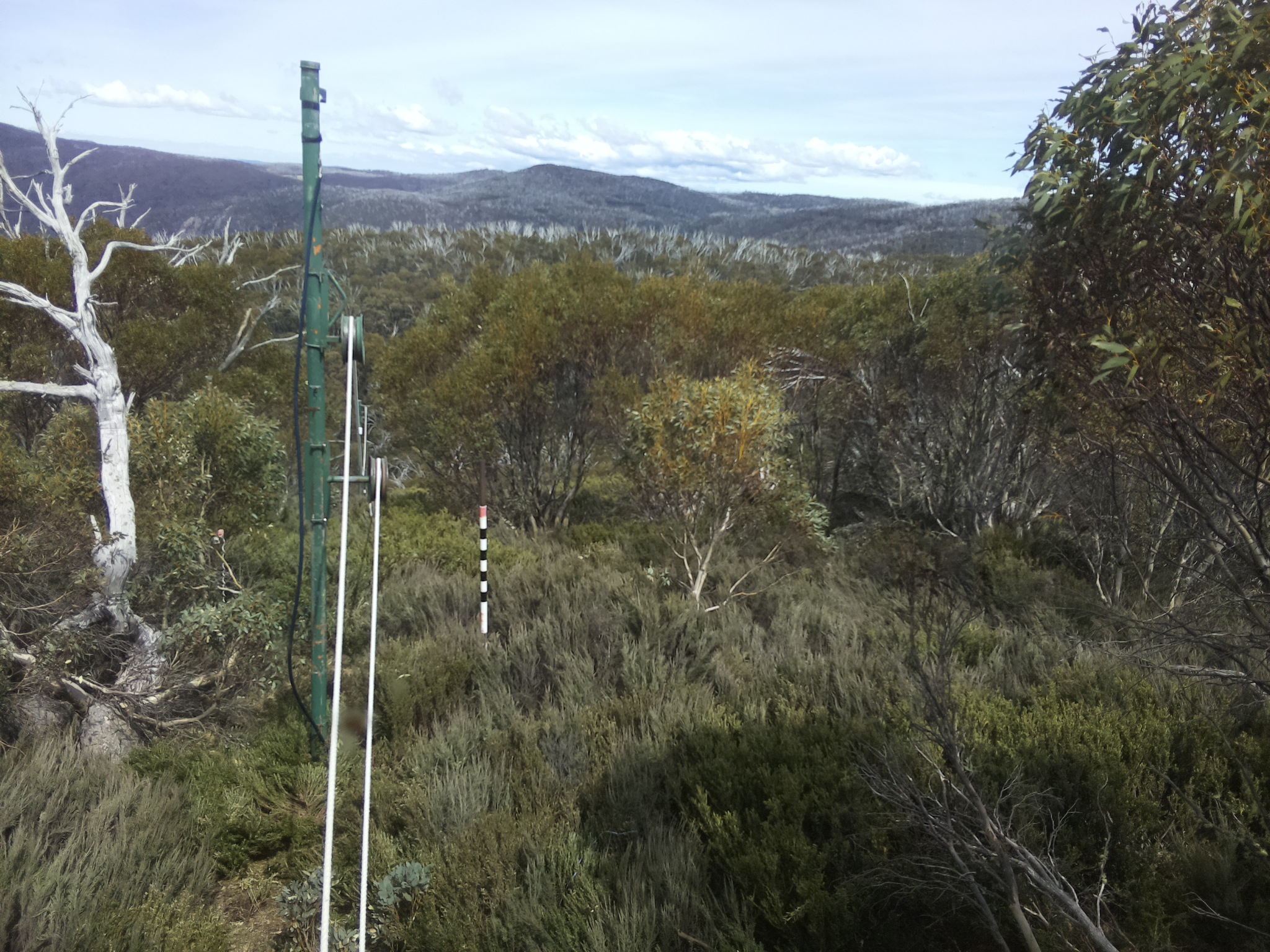 Bogong Web Cam 2:30pm Thursday 23rd of October 2025