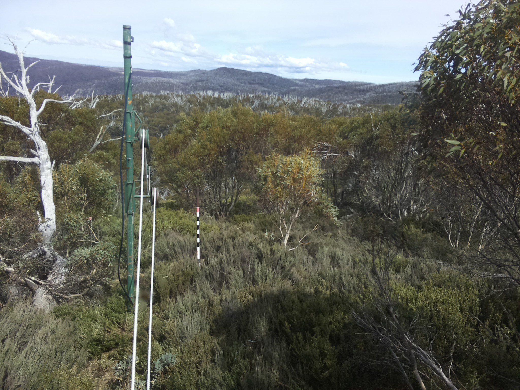 Bogong Web Cam 2:50pm Thursday 23rd of October 2025