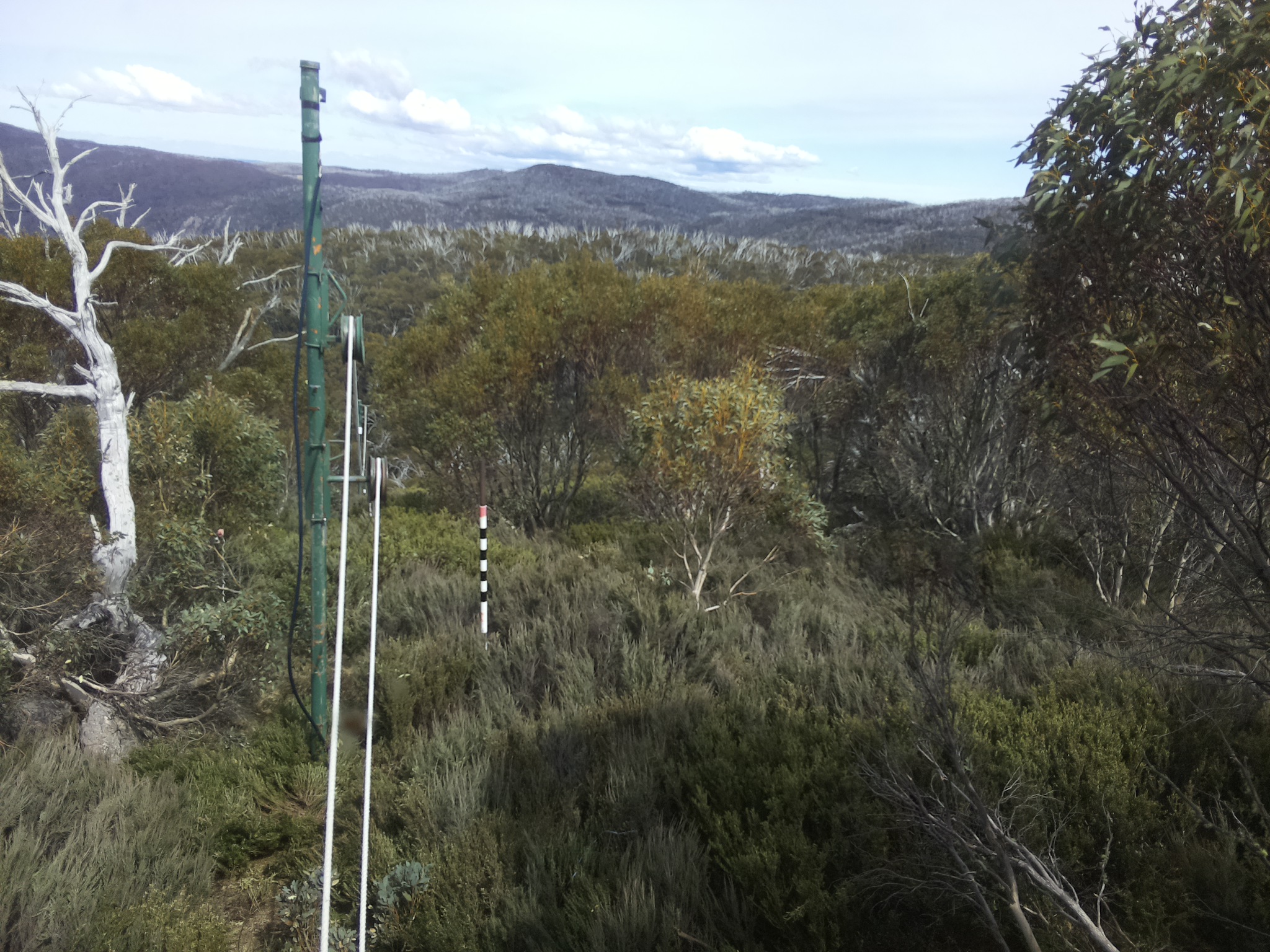 Bogong Web Cam 3:00pm Thursday 23rd of October 2025