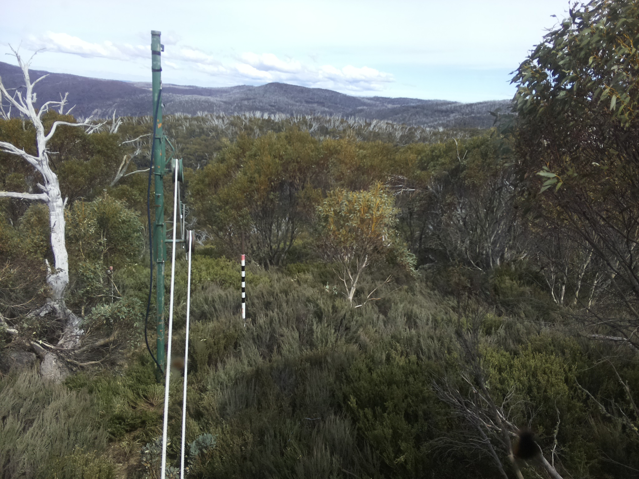 Bogong Web Cam 3:10pm Thursday 23rd of October 2025
