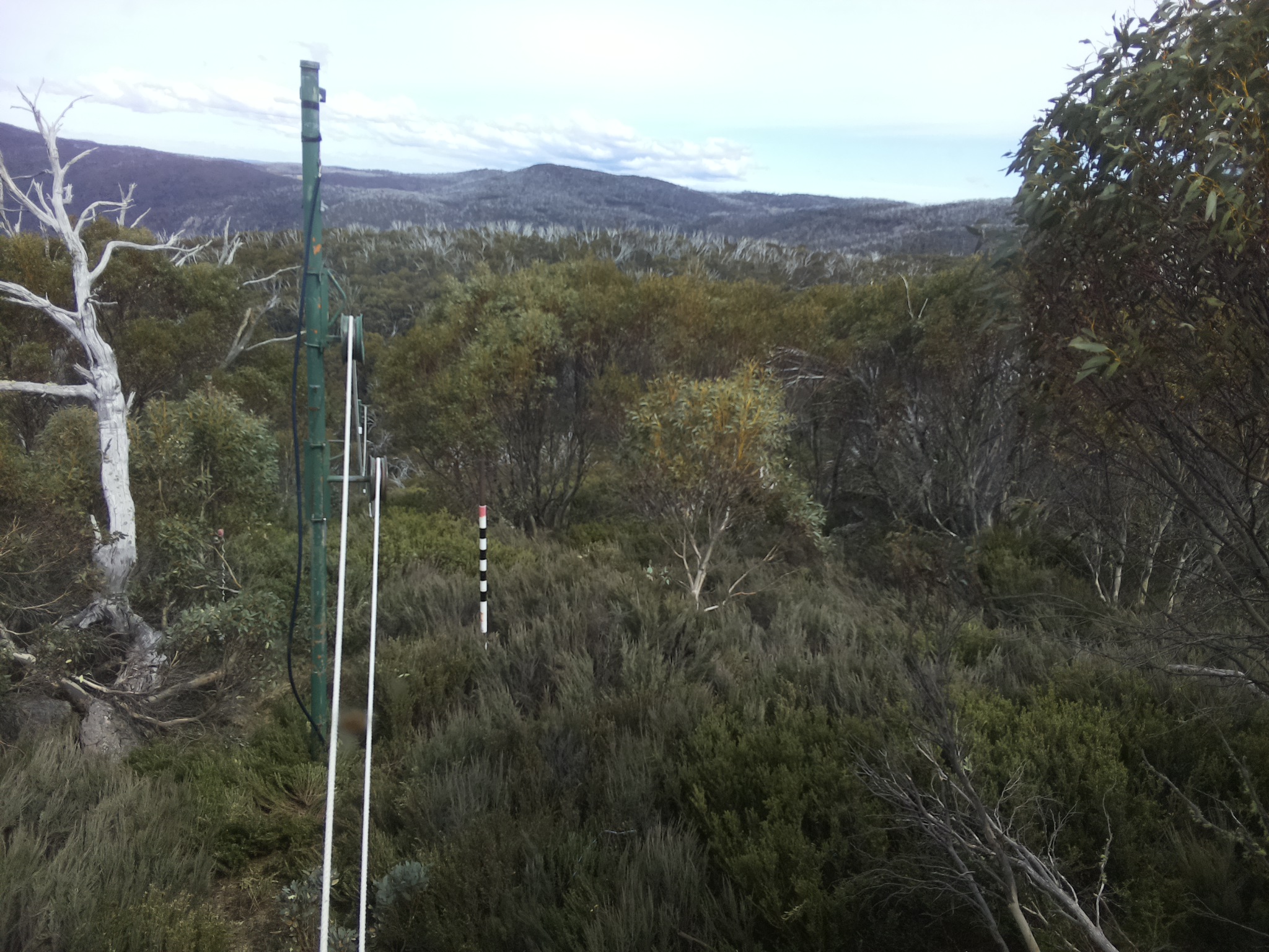 Bogong Web Cam 3:20pm Thursday 23rd of October 2025