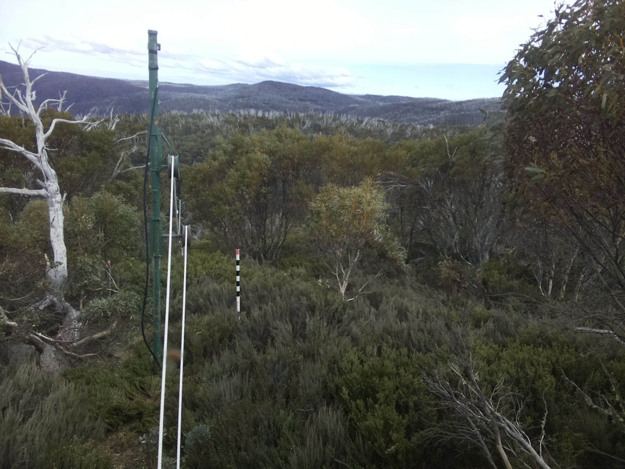 Bogong Web Cam 3:30pm Thursday 23rd of October 2025