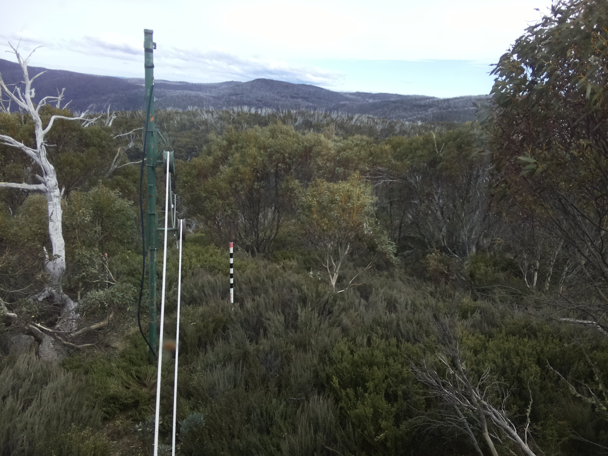 Bogong Web Cam 3:40pm Thursday 23rd of October 2025