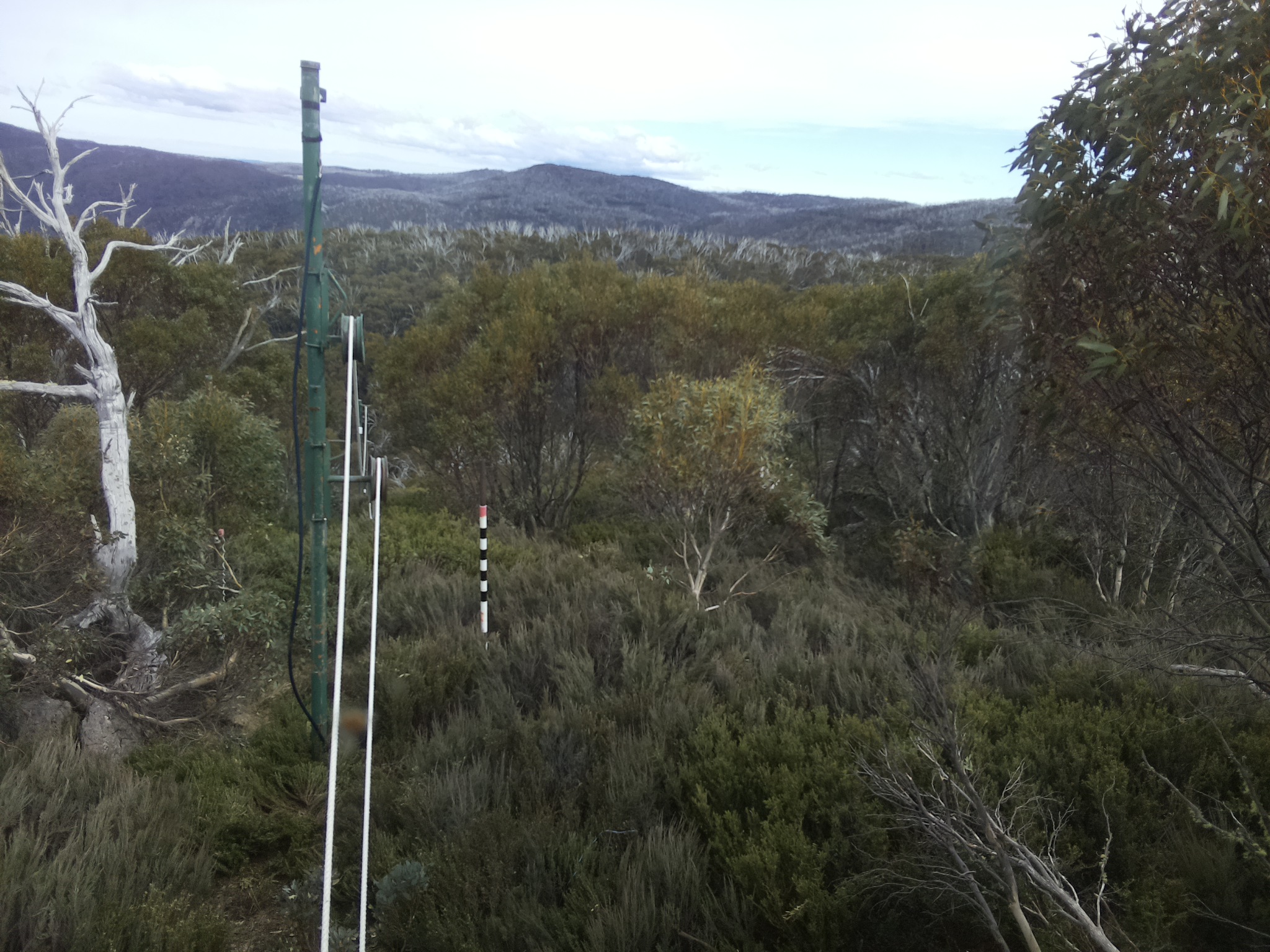 Bogong Web Cam 3:50pm Thursday 23rd of October 2025