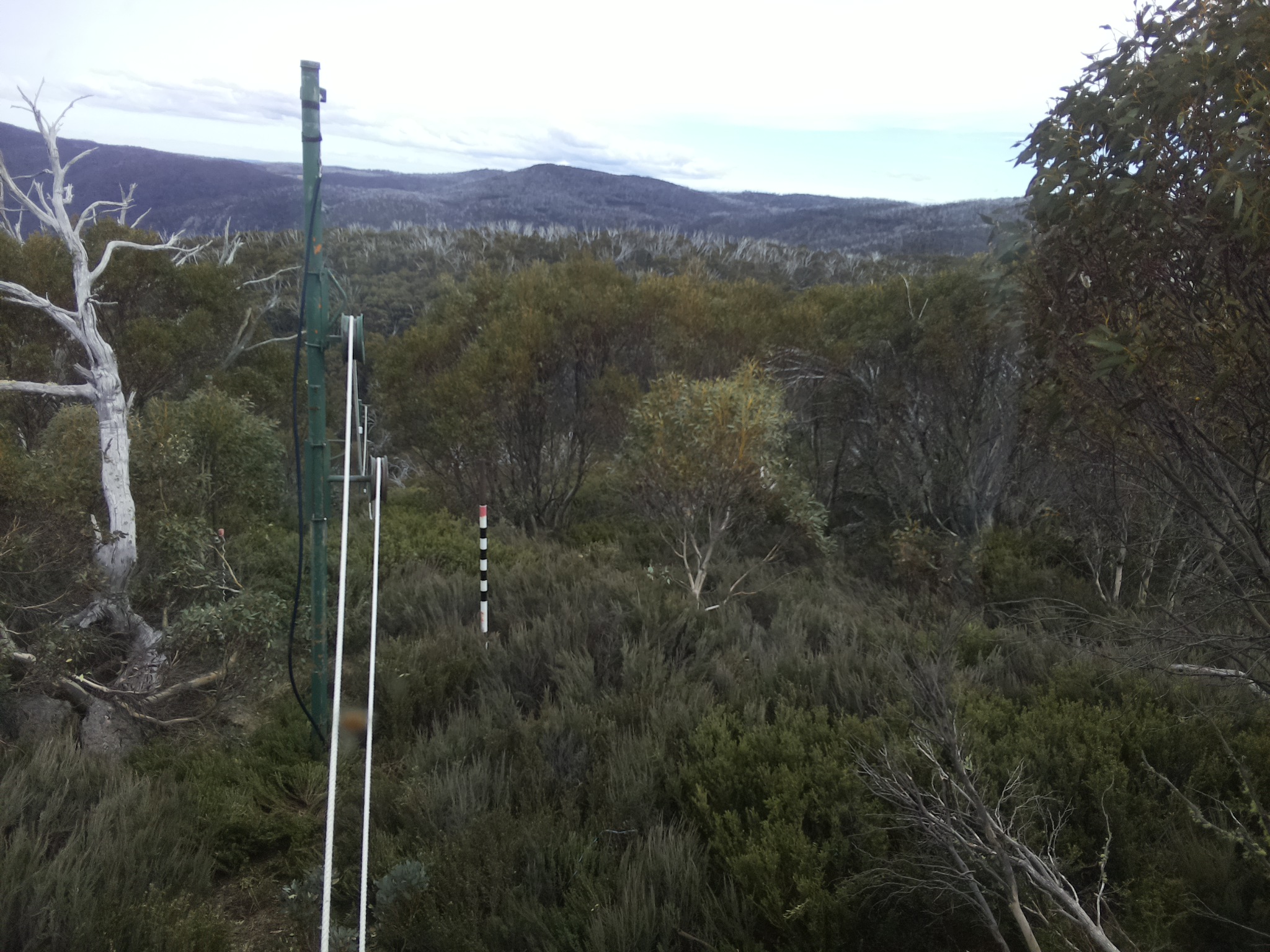 Bogong Web Cam 4:00pm Thursday 23rd of October 2025
