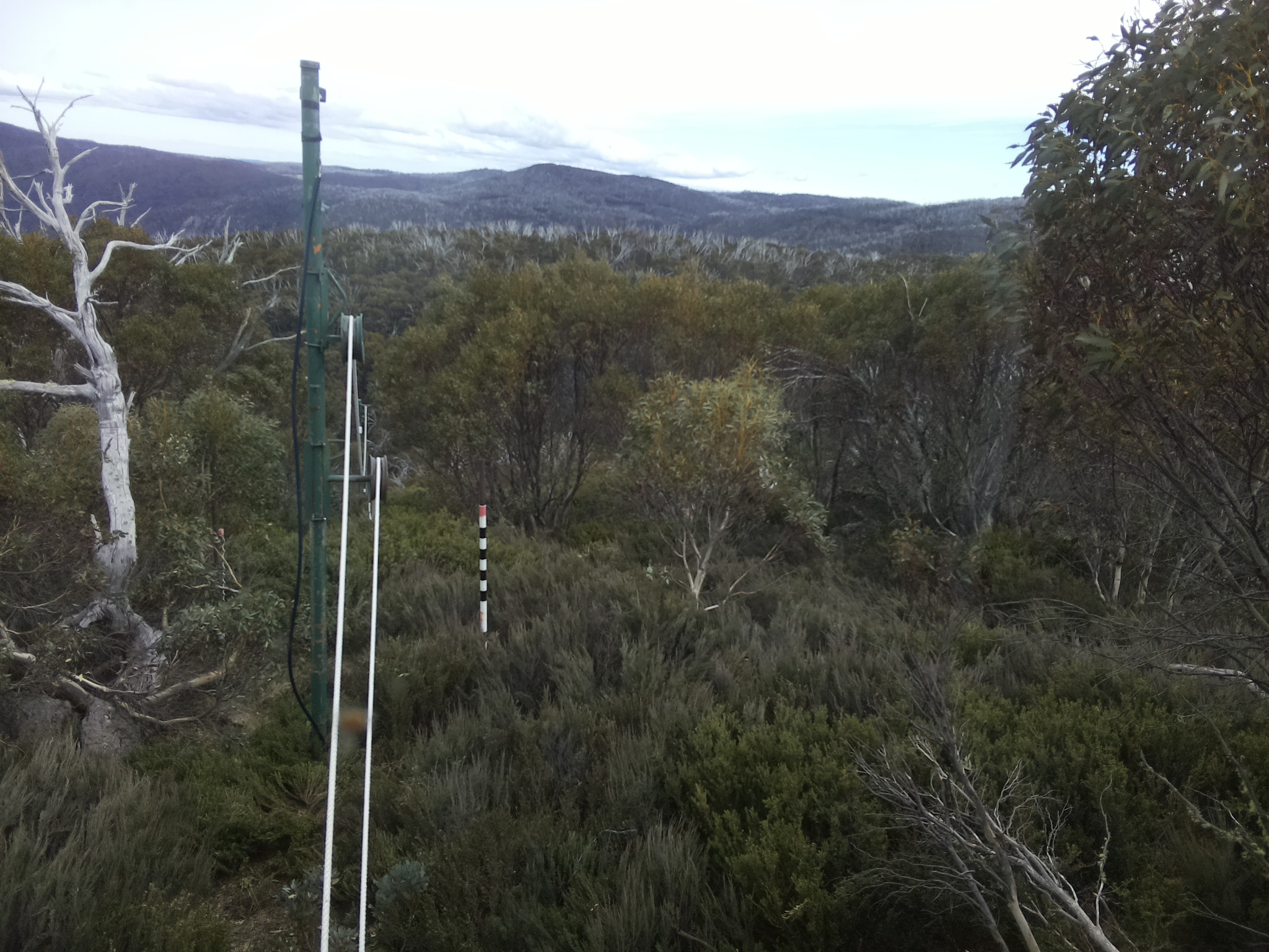 Bogong Web Cam 4:10pm Thursday 23rd of October 2025