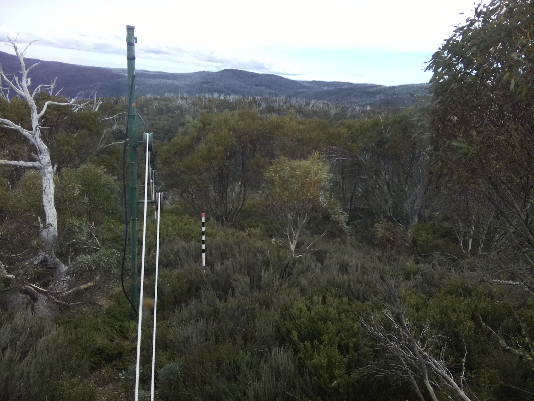 Bogong Web Cam 4:20pm Thursday 23rd of October 2025