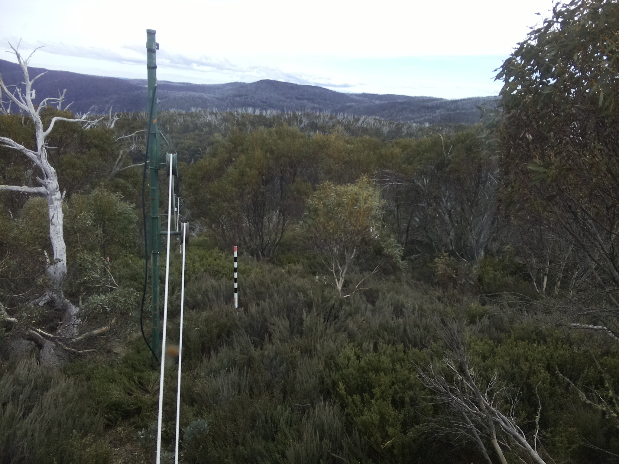 Bogong Web Cam 4:30pm Thursday 23rd of October 2025