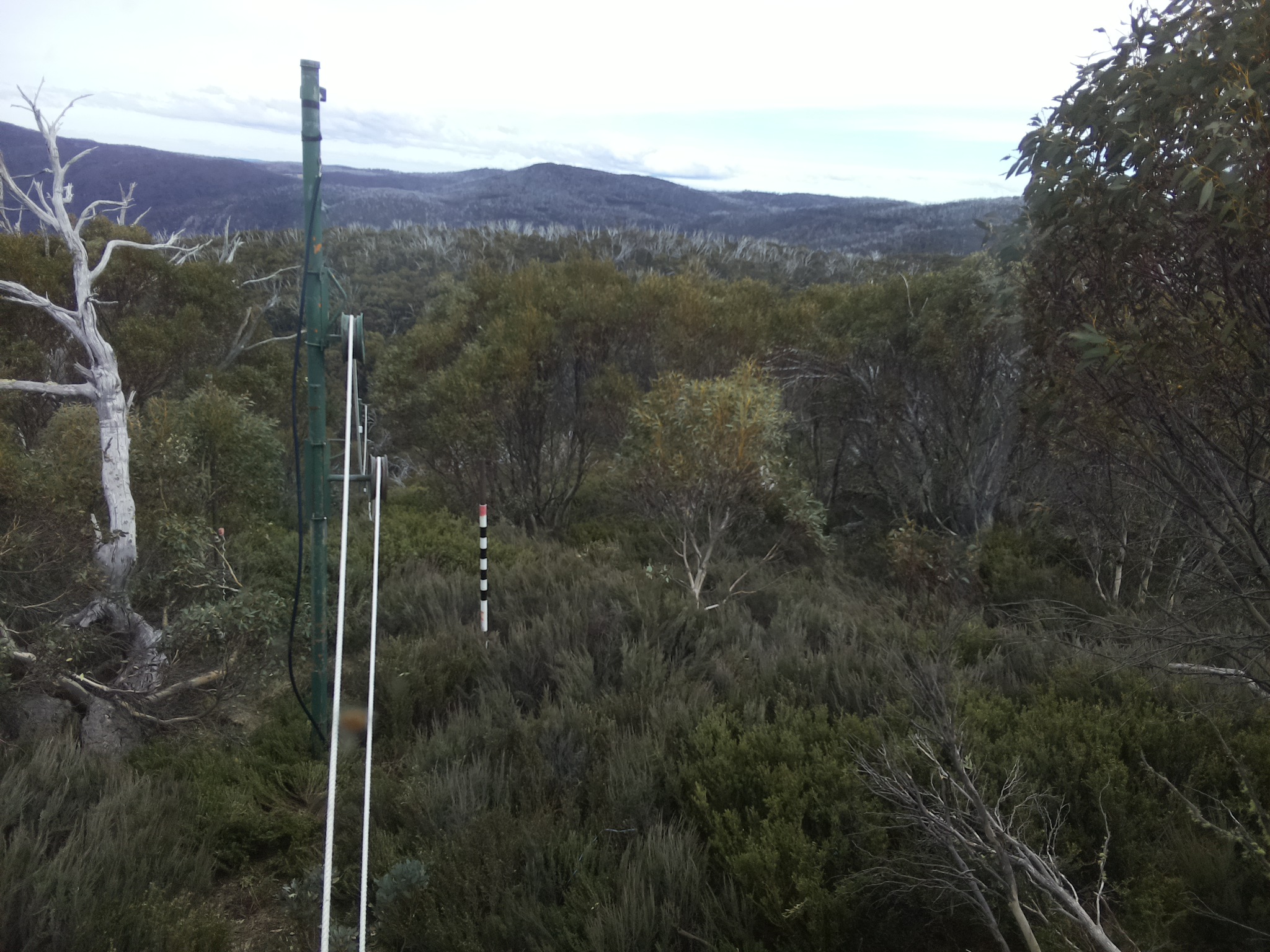 Bogong Web Cam 4:40pm Thursday 23rd of October 2025