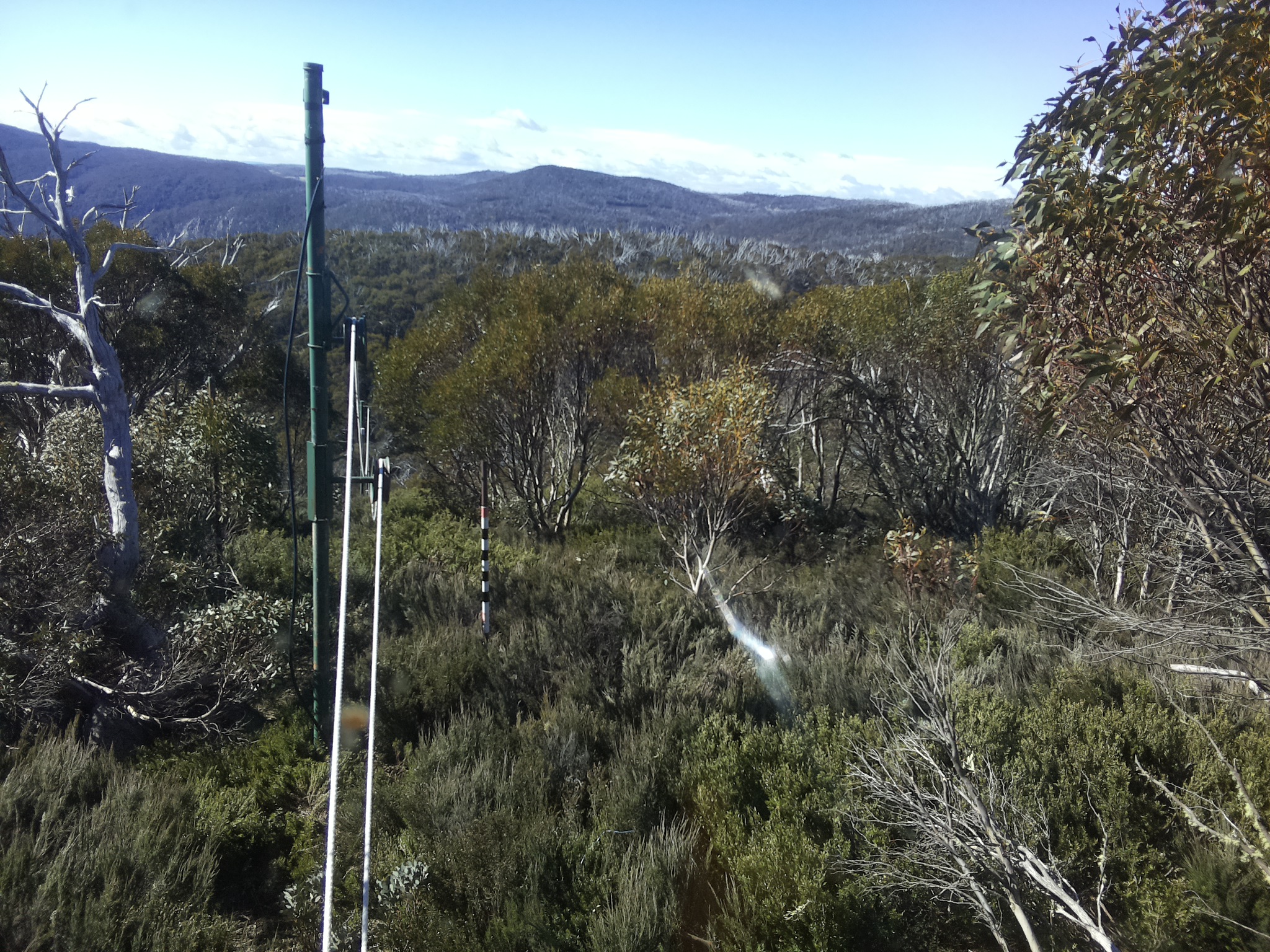 Bogong Web Cam 9:30am Friday 24th of October 2025