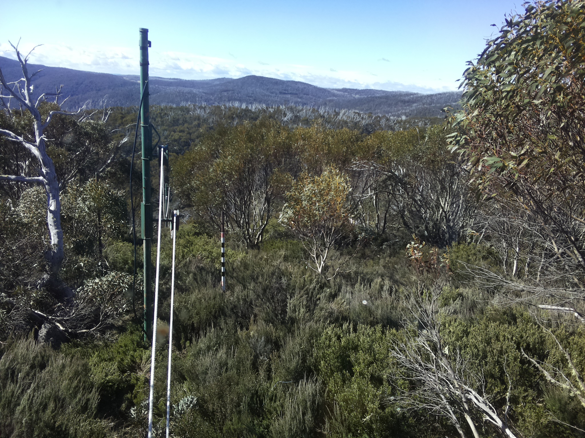 Bogong Web Cam 9:50am Friday 24th of October 2025