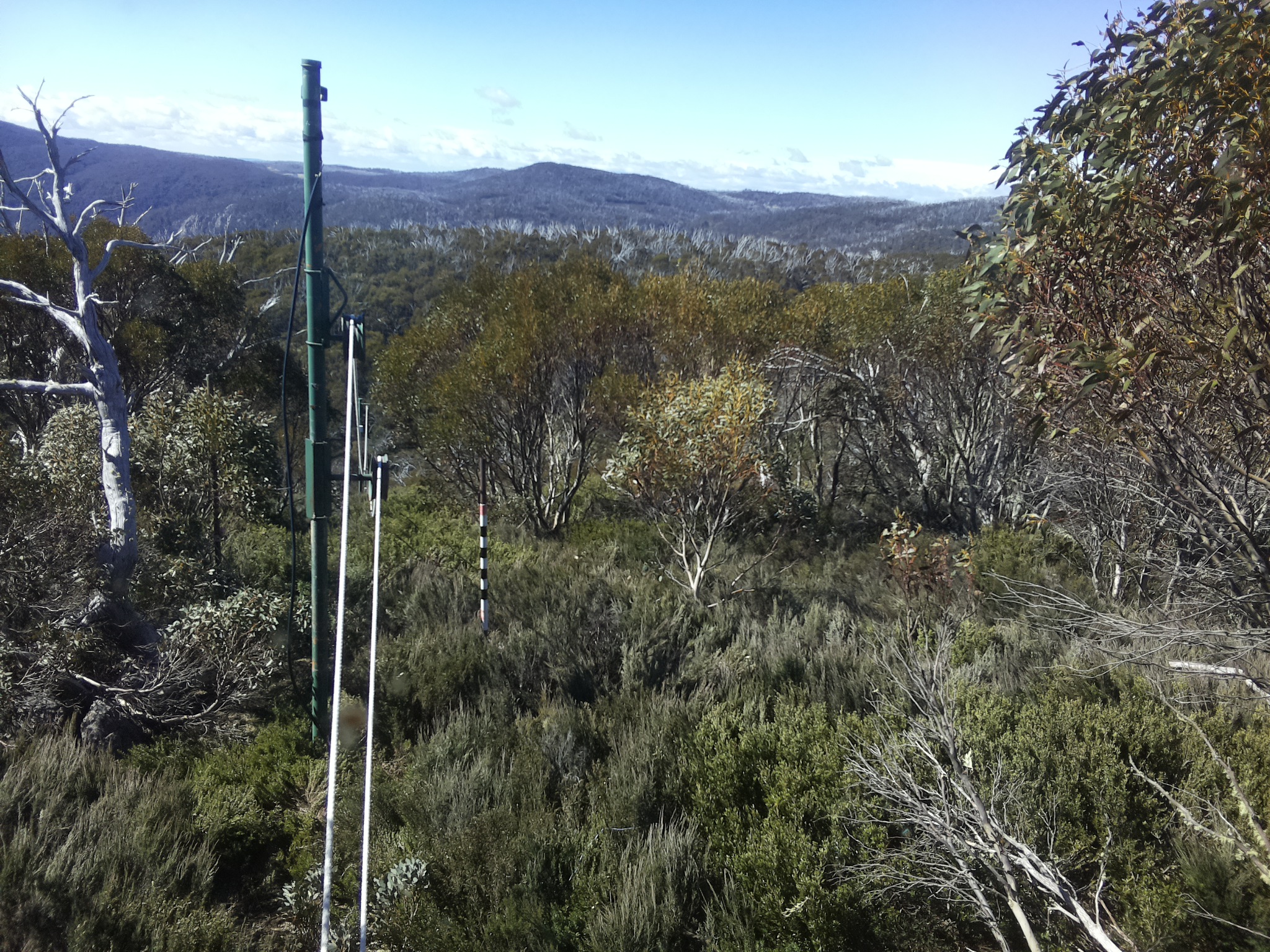 Bogong Web Cam 10:10am Friday 24th of October 2025