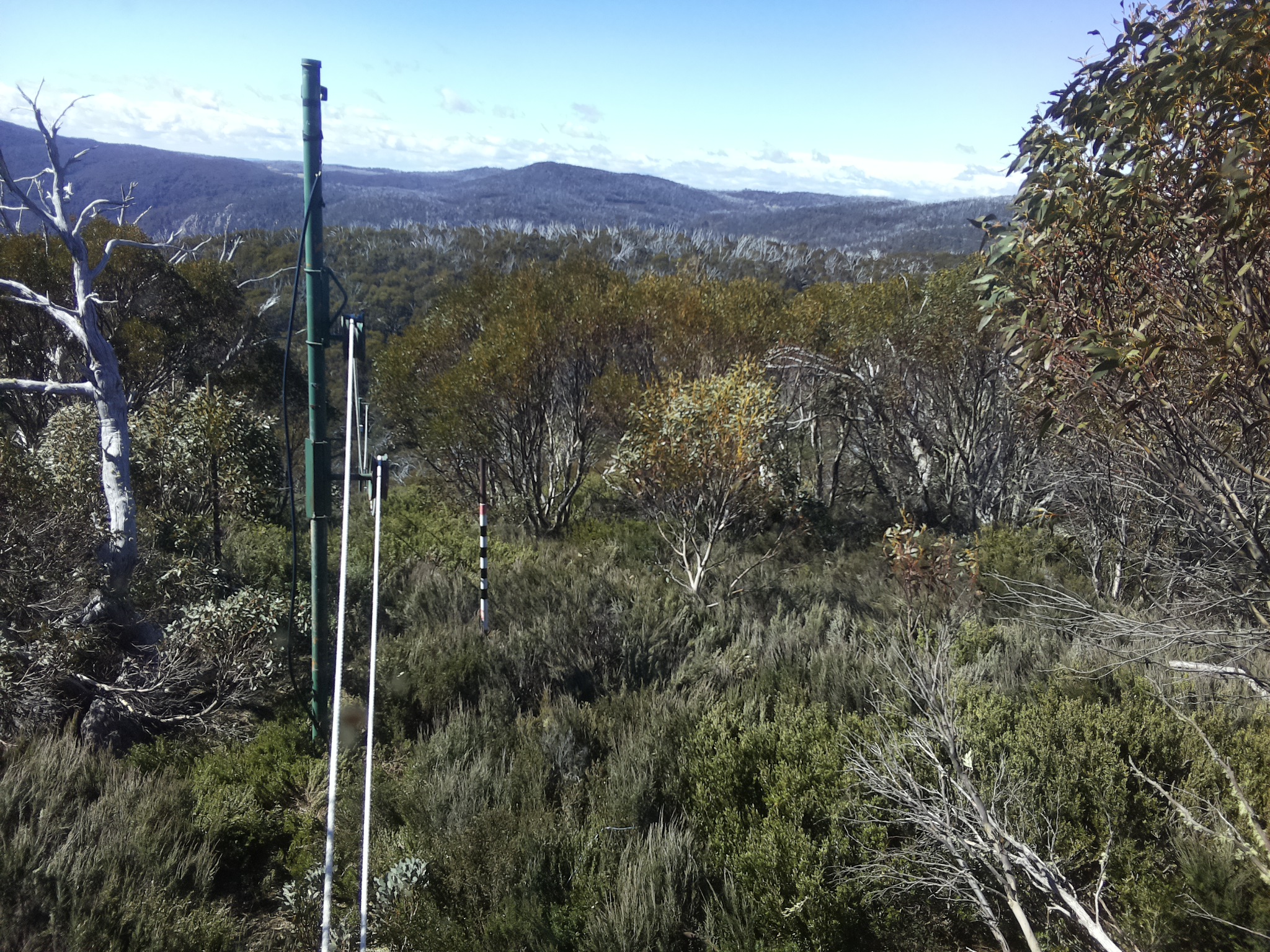 Bogong Web Cam 10:20am Friday 24th of October 2025