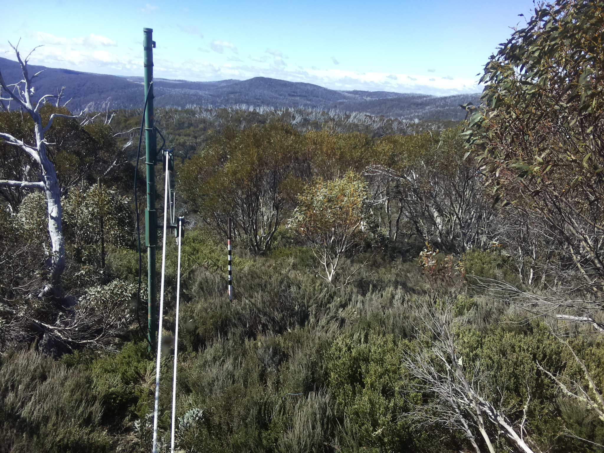 Bogong Web Cam 10:30am Friday 24th of October 2025