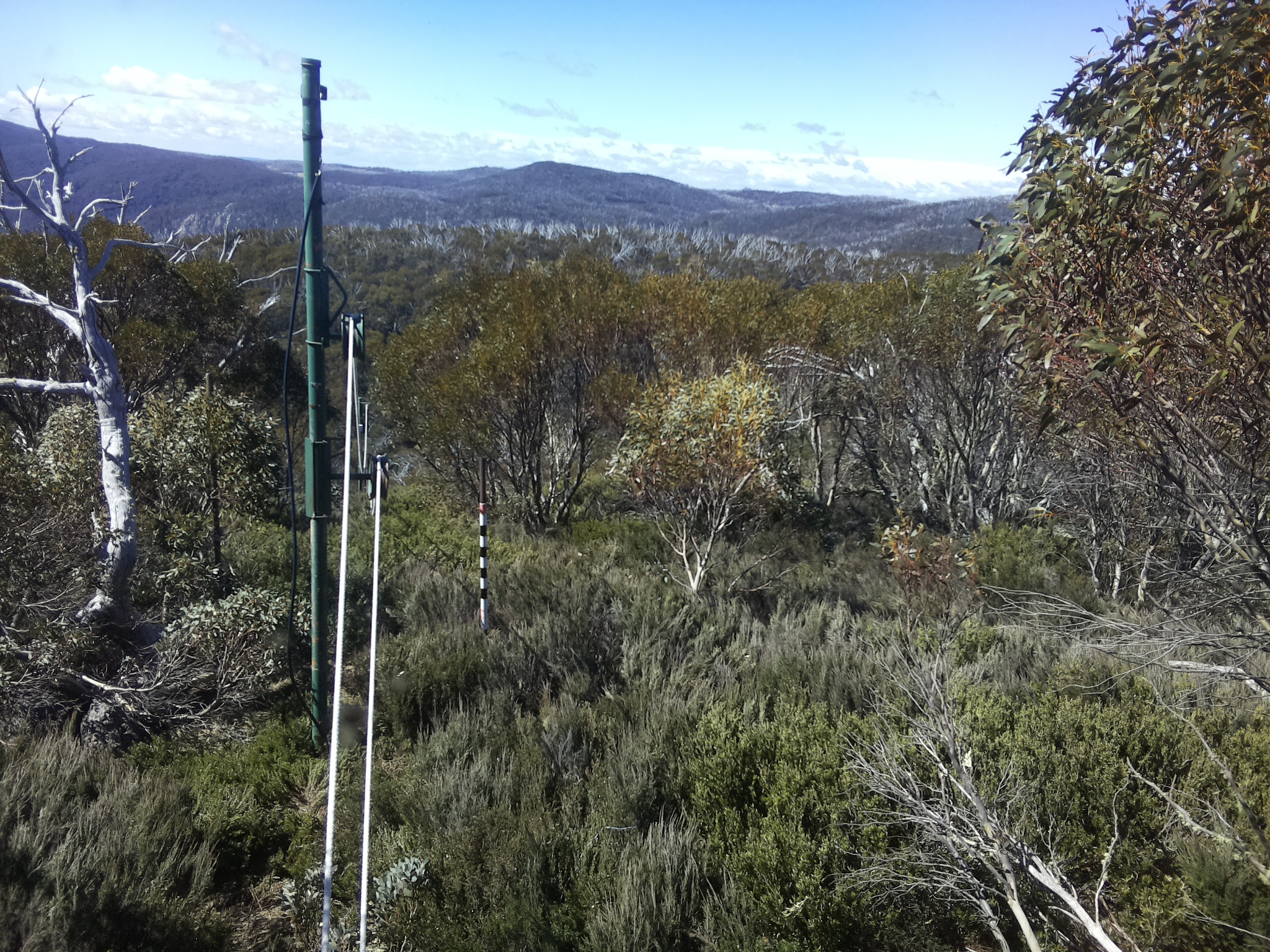 Bogong Web Cam 10:50am Friday 24th of October 2025