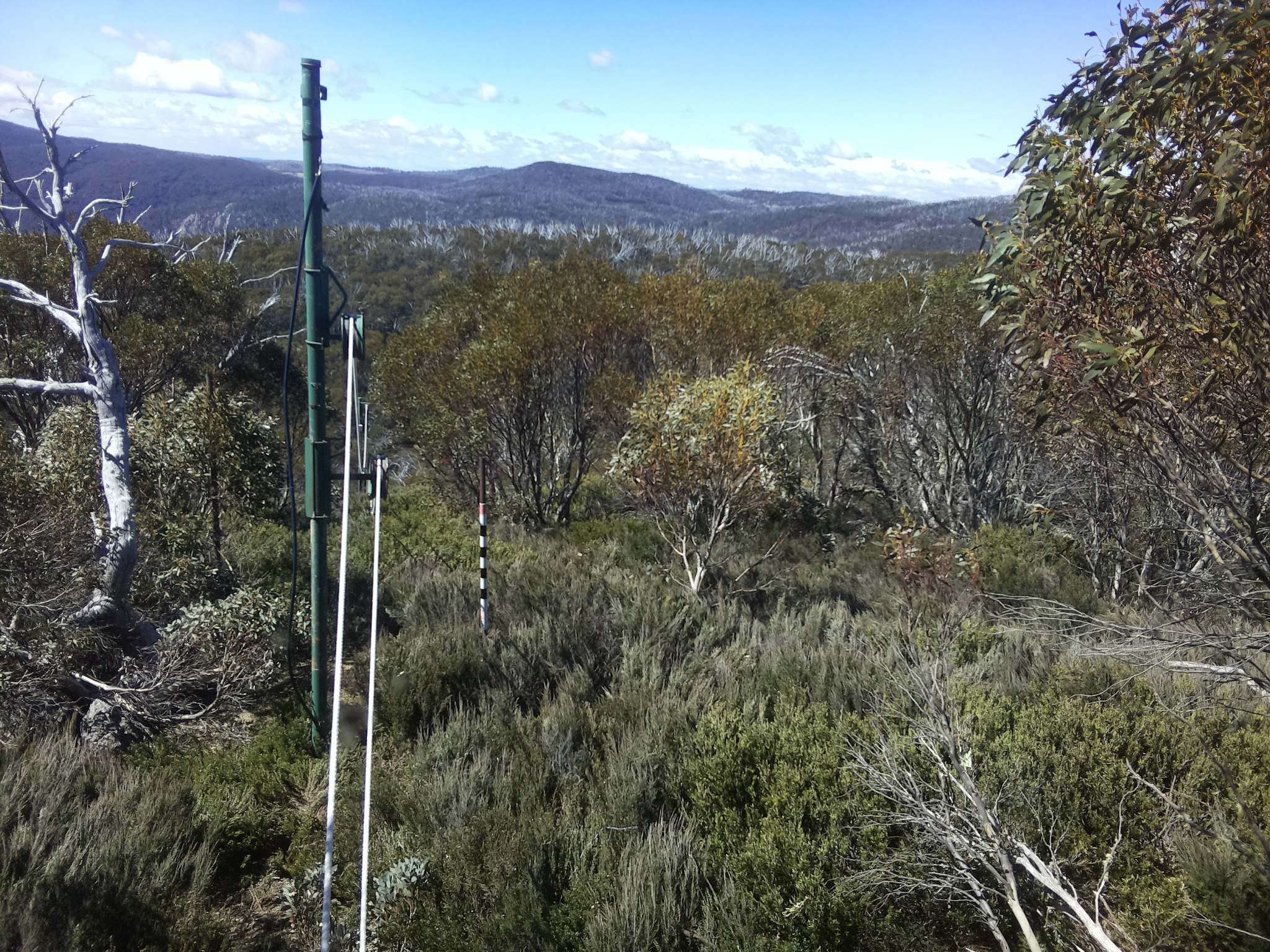 Bogong Web Cam 11:10am Friday 24th of October 2025