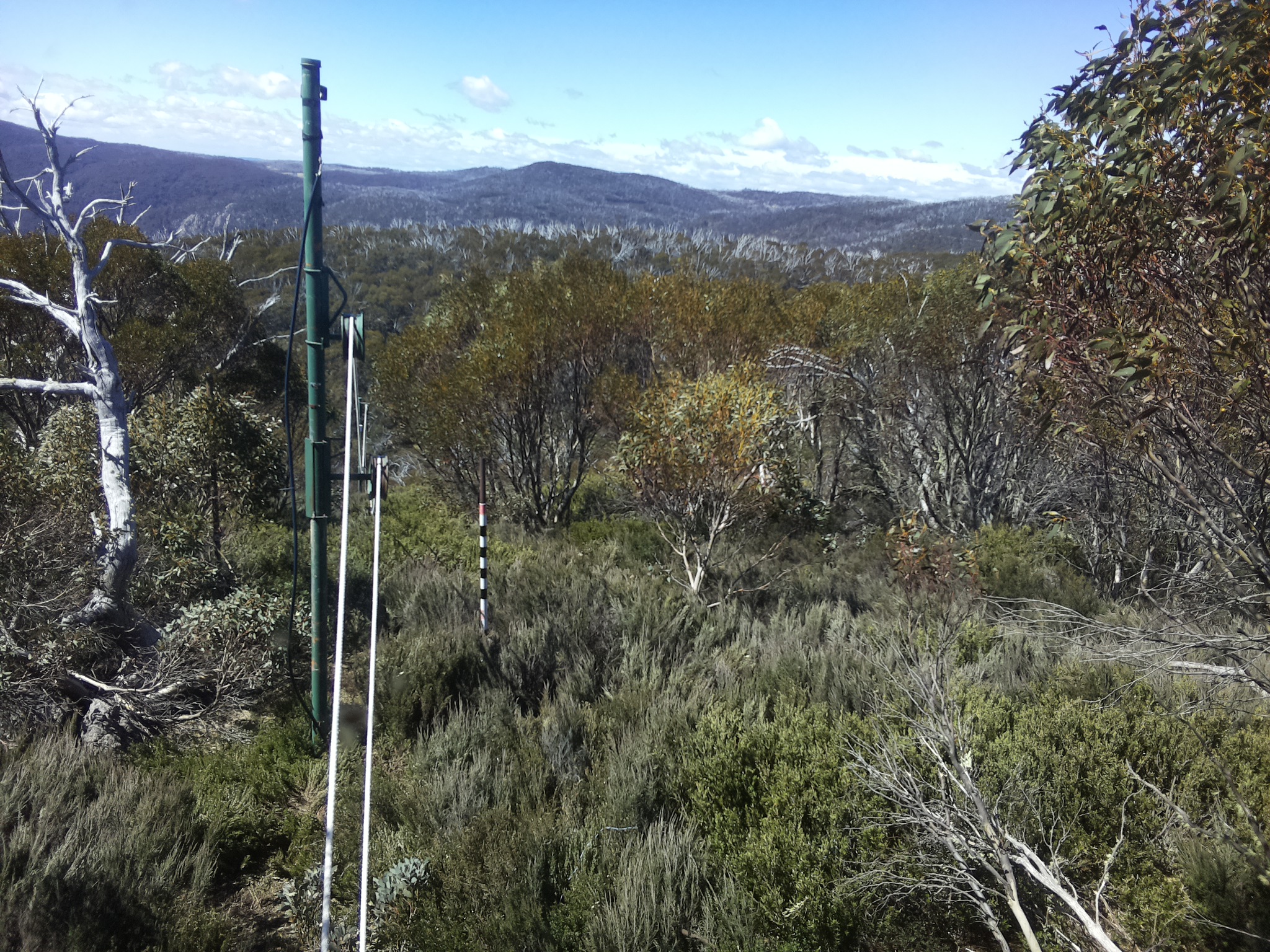 Bogong Web Cam 11:20am Friday 24th of October 2025