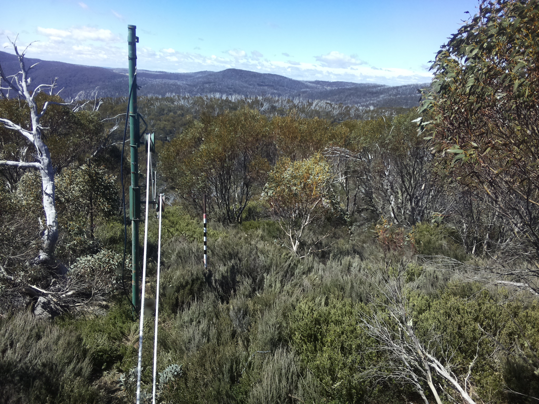 Bogong Web Cam 11:30am Friday 24th of October 2025