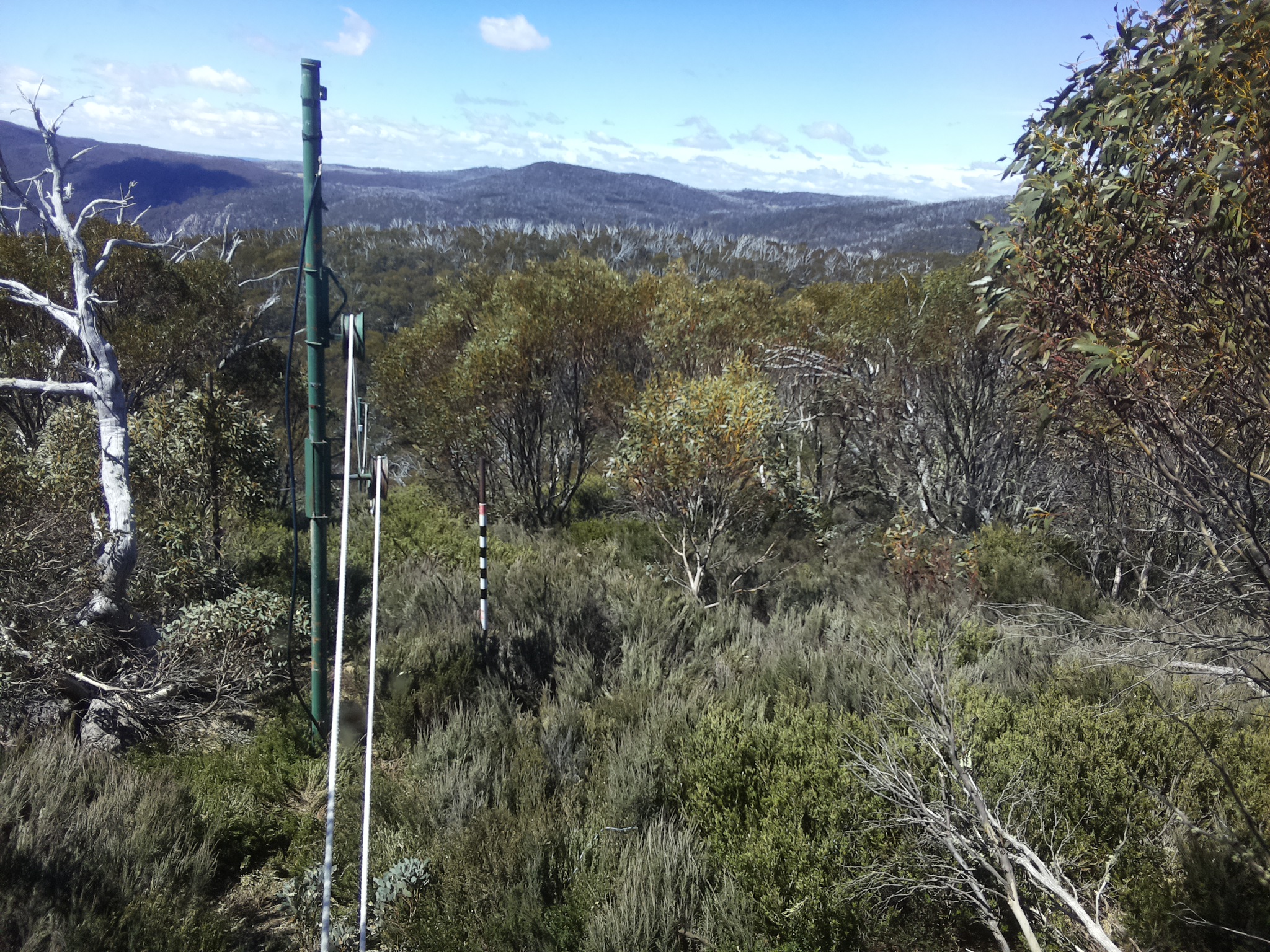 Bogong Web Cam 11:40am Friday 24th of October 2025