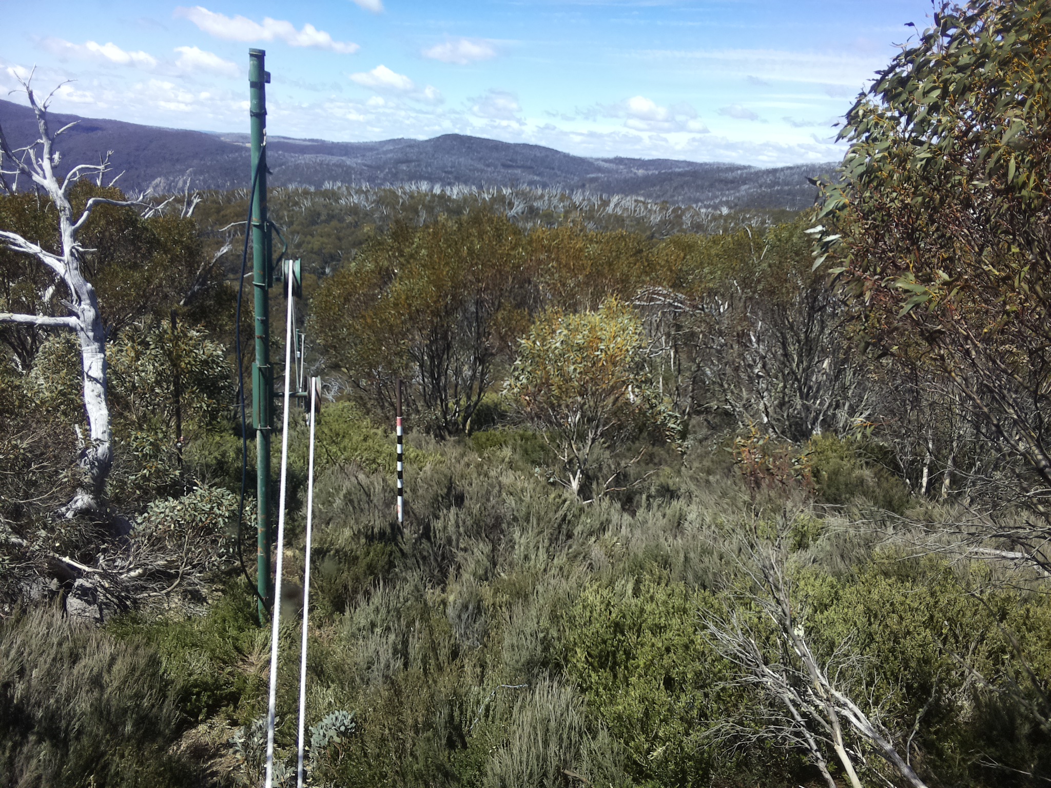 Bogong Web Cam 12:00pm Friday 24th of October 2025