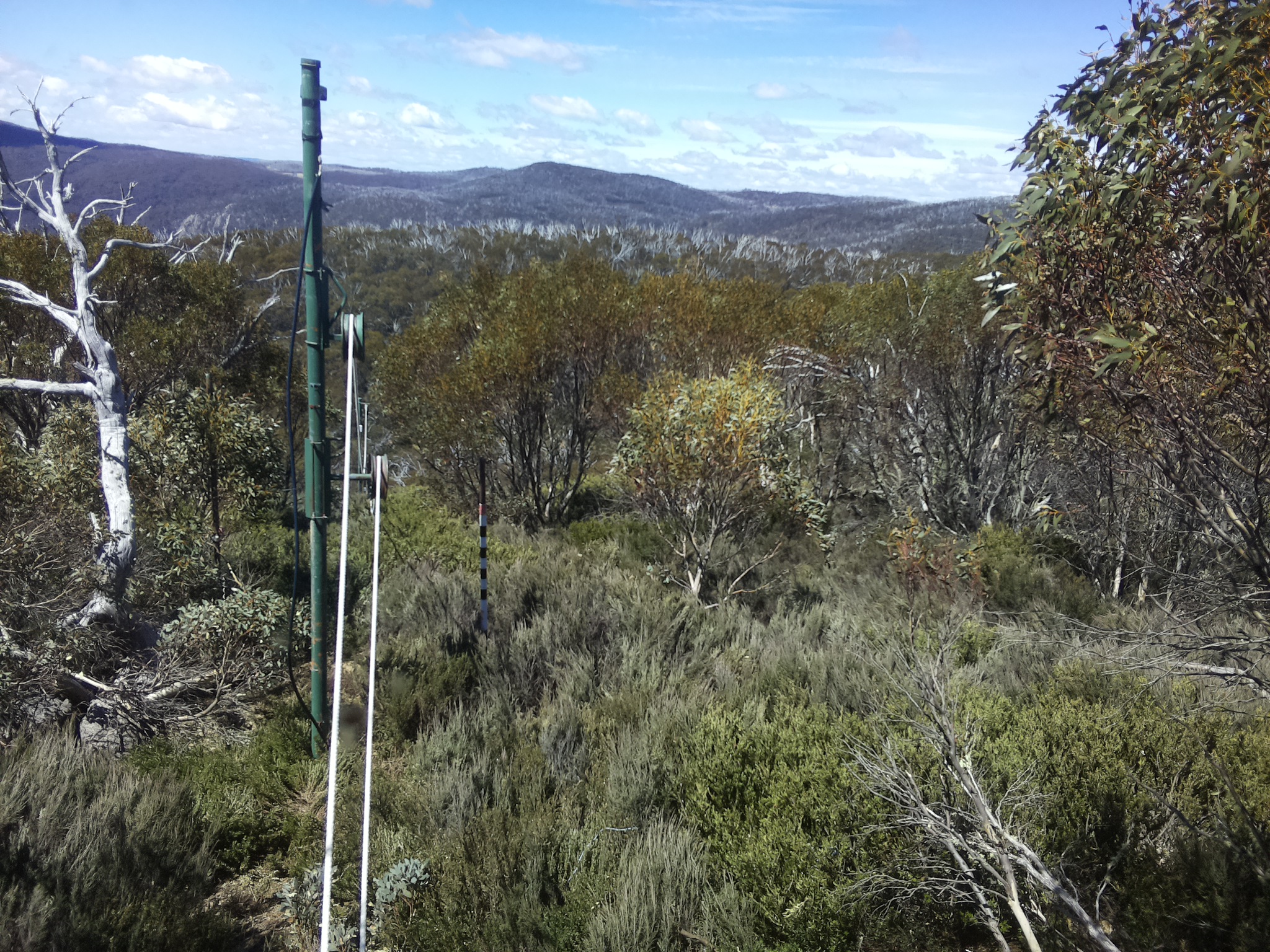 Bogong Web Cam 12:10pm Friday 24th of October 2025