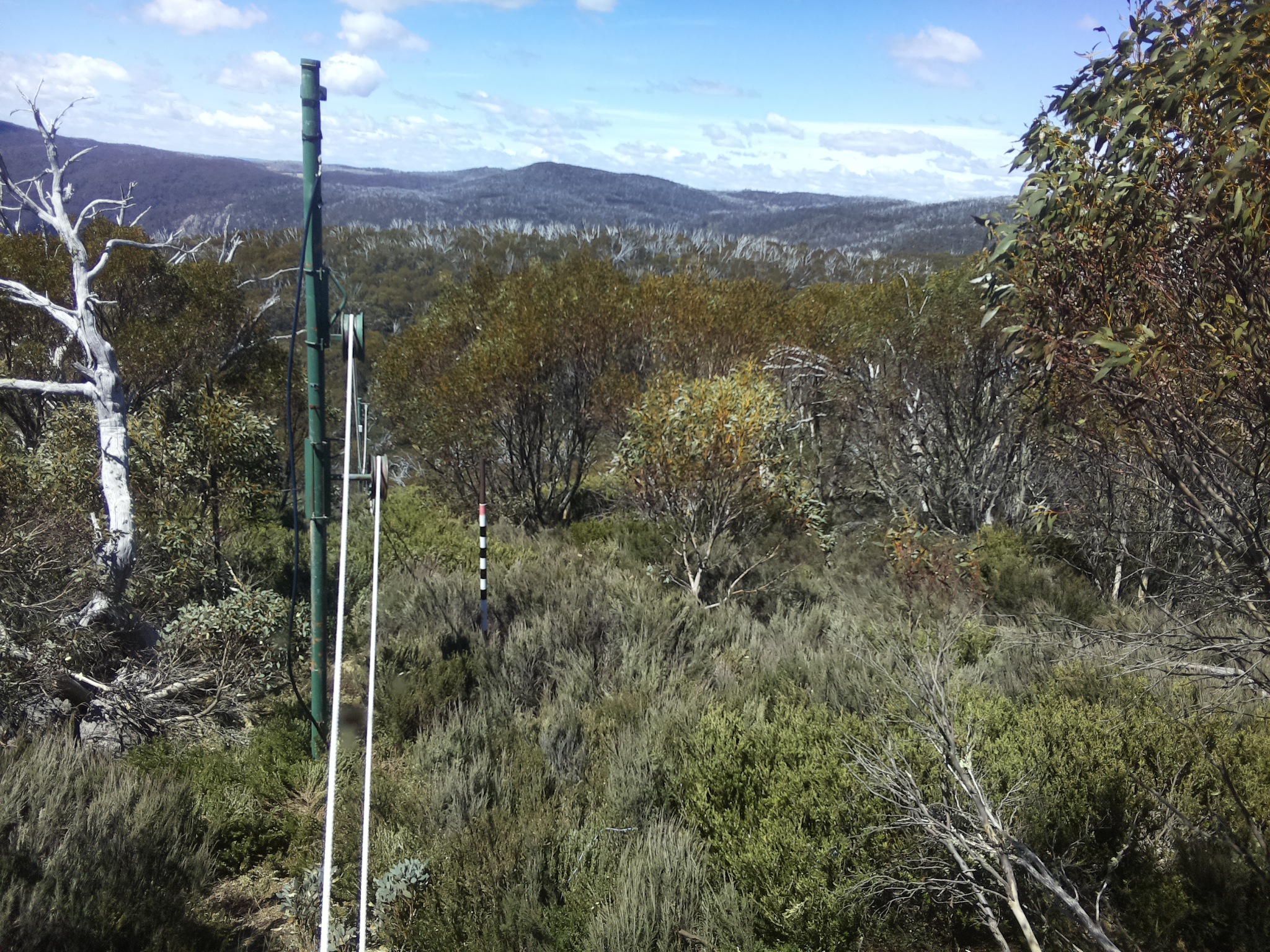 Bogong Web Cam 12:20pm Friday 24th of October 2025