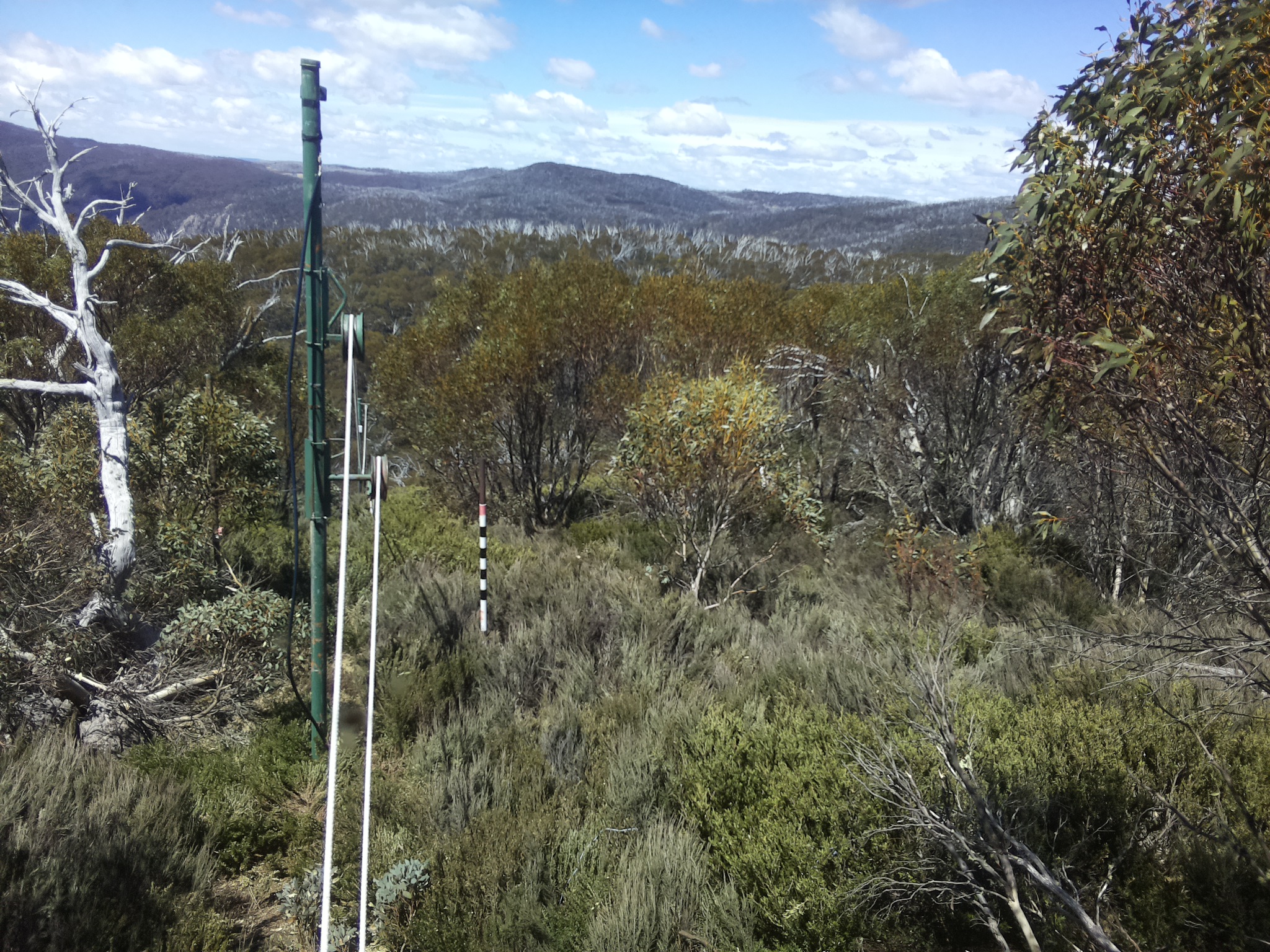 Bogong Web Cam 12:40pm Friday 24th of October 2025