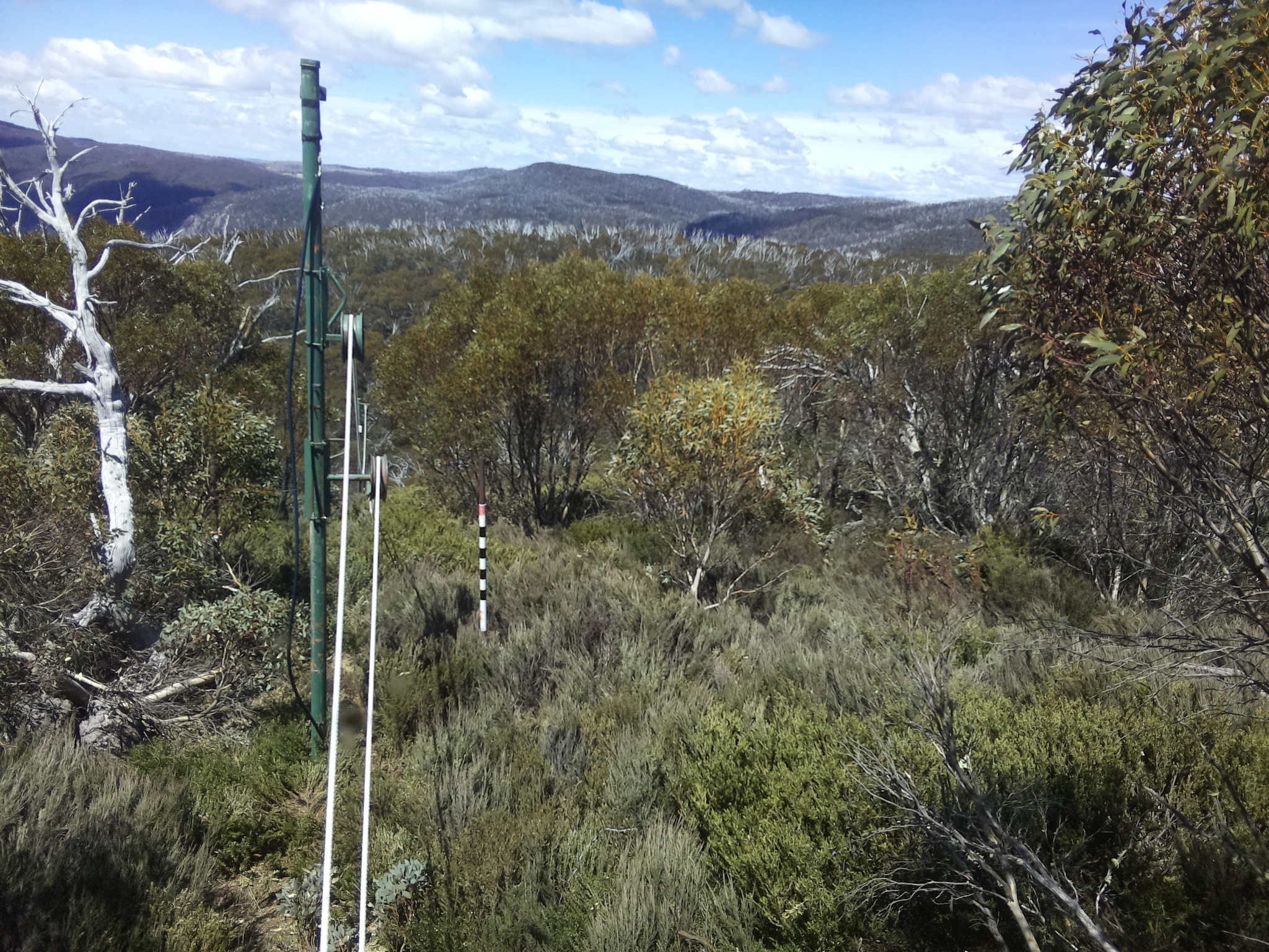 Bogong Web Cam 12:50pm Friday 24th of October 2025