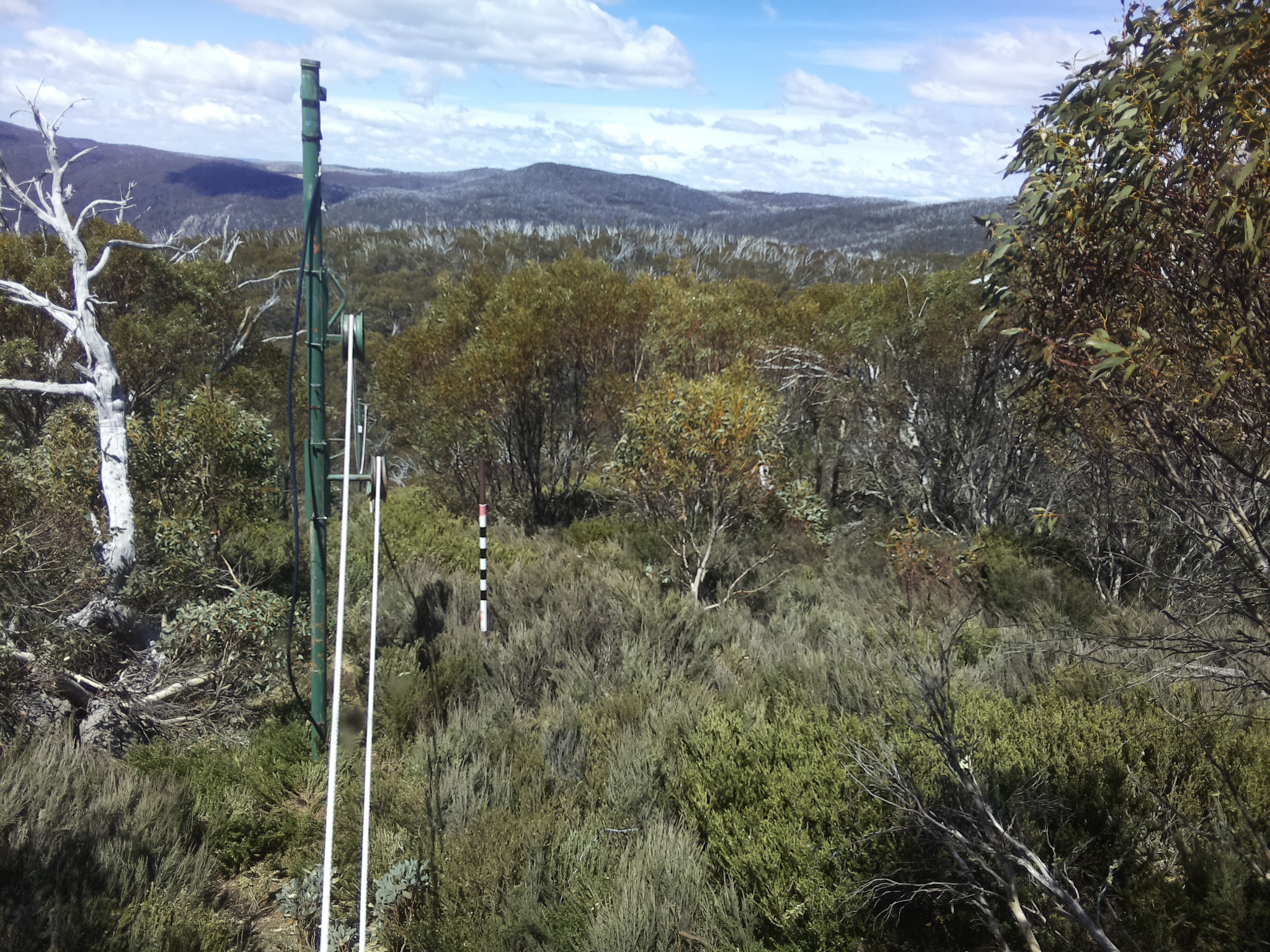 Bogong Web Cam 1:00pm Friday 24th of October 2025