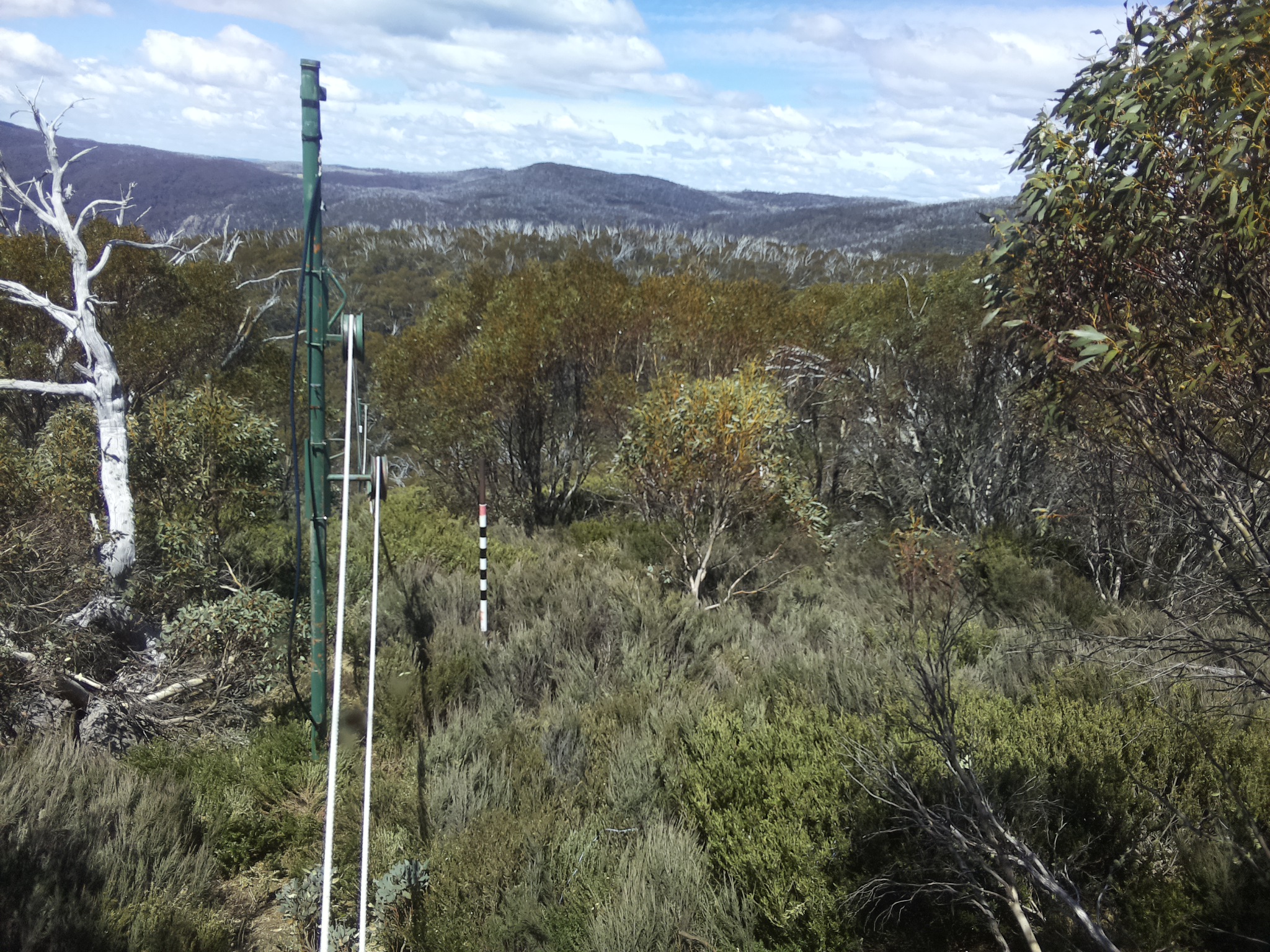 Bogong Web Cam 1:10pm Friday 24th of October 2025