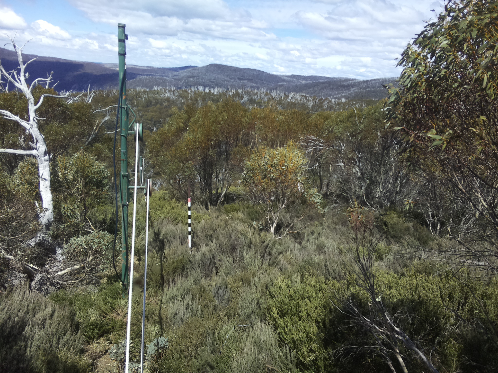 Bogong Web Cam 1:20pm Friday 24th of October 2025