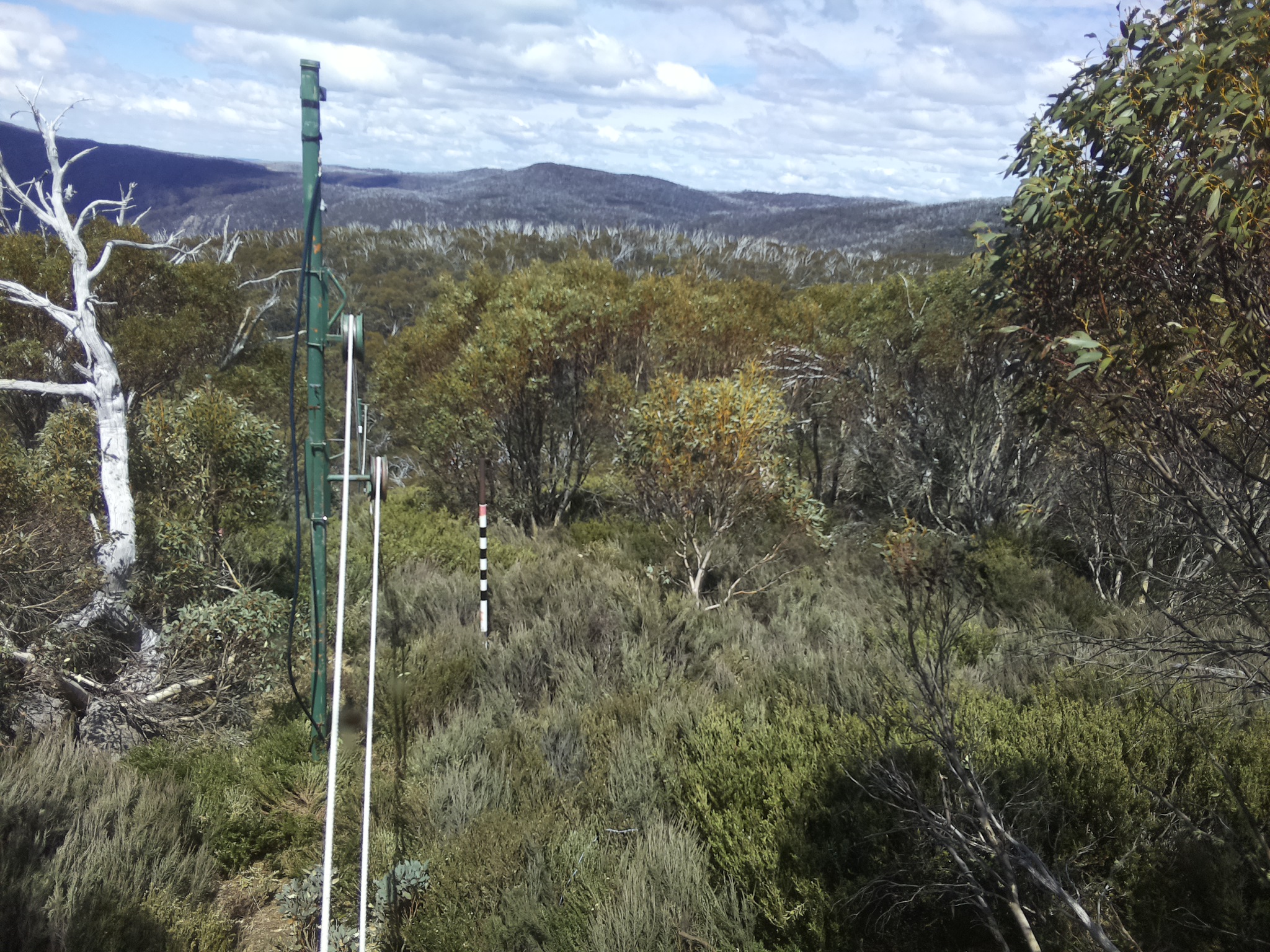 Bogong Web Cam 1:30pm Friday 24th of October 2025