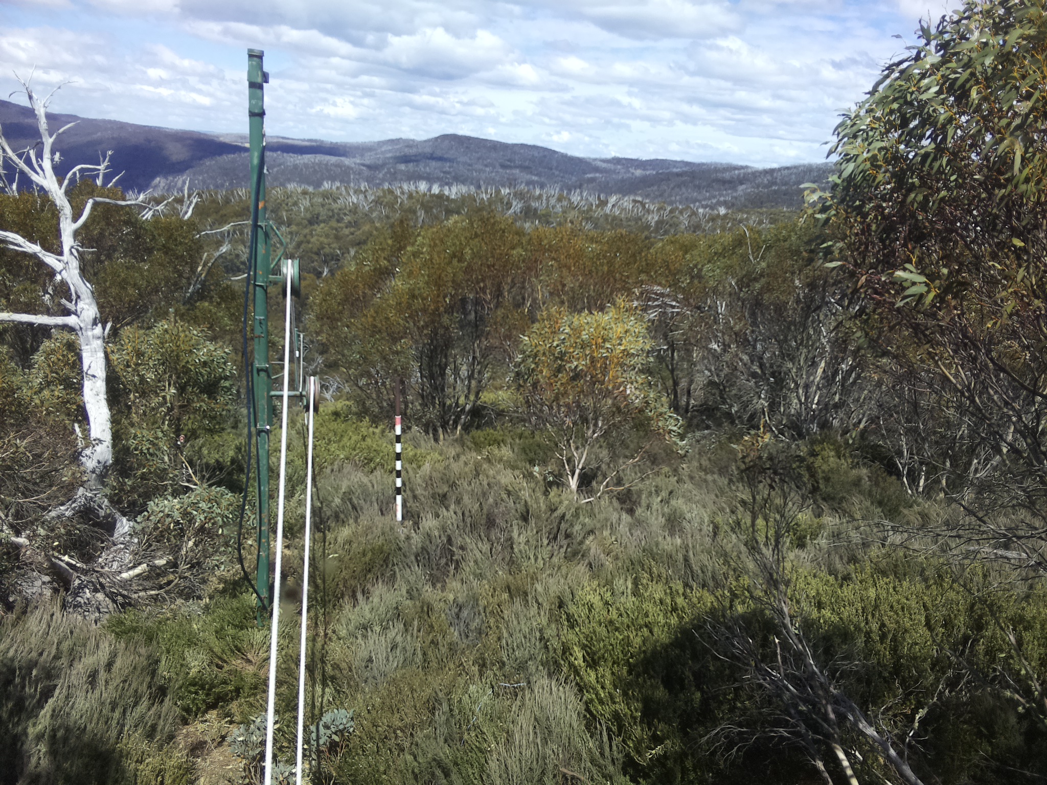 Bogong Web Cam 1:40pm Friday 24th of October 2025