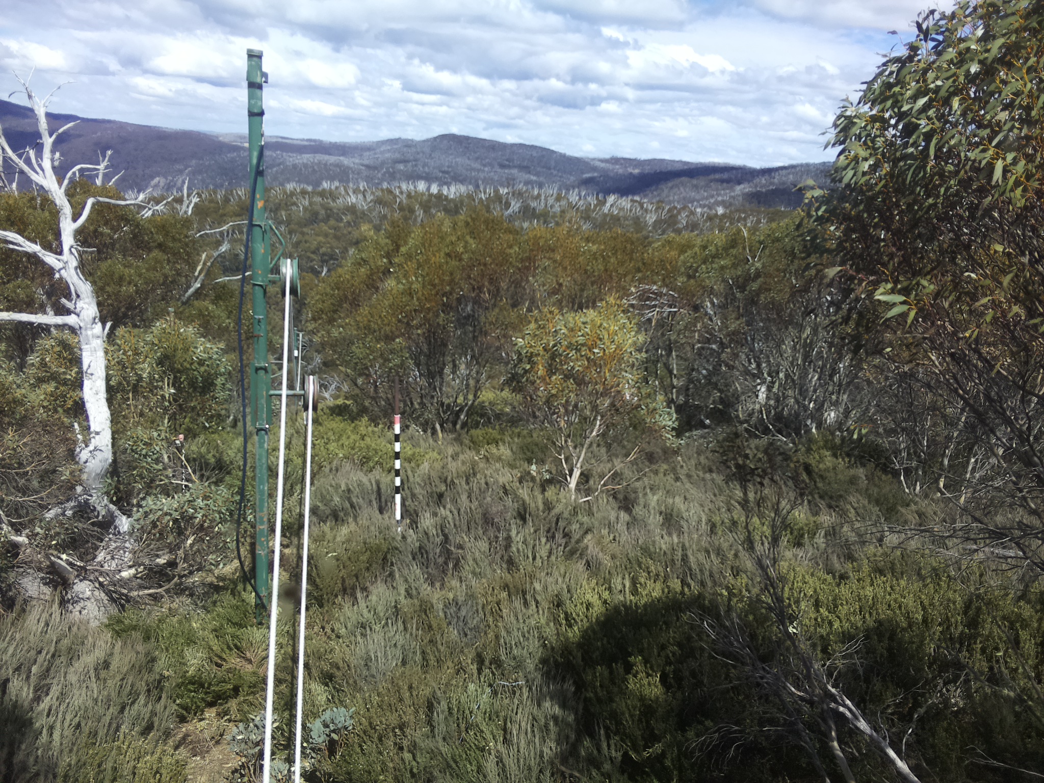 Bogong Web Cam 2:10pm Friday 24th of October 2025