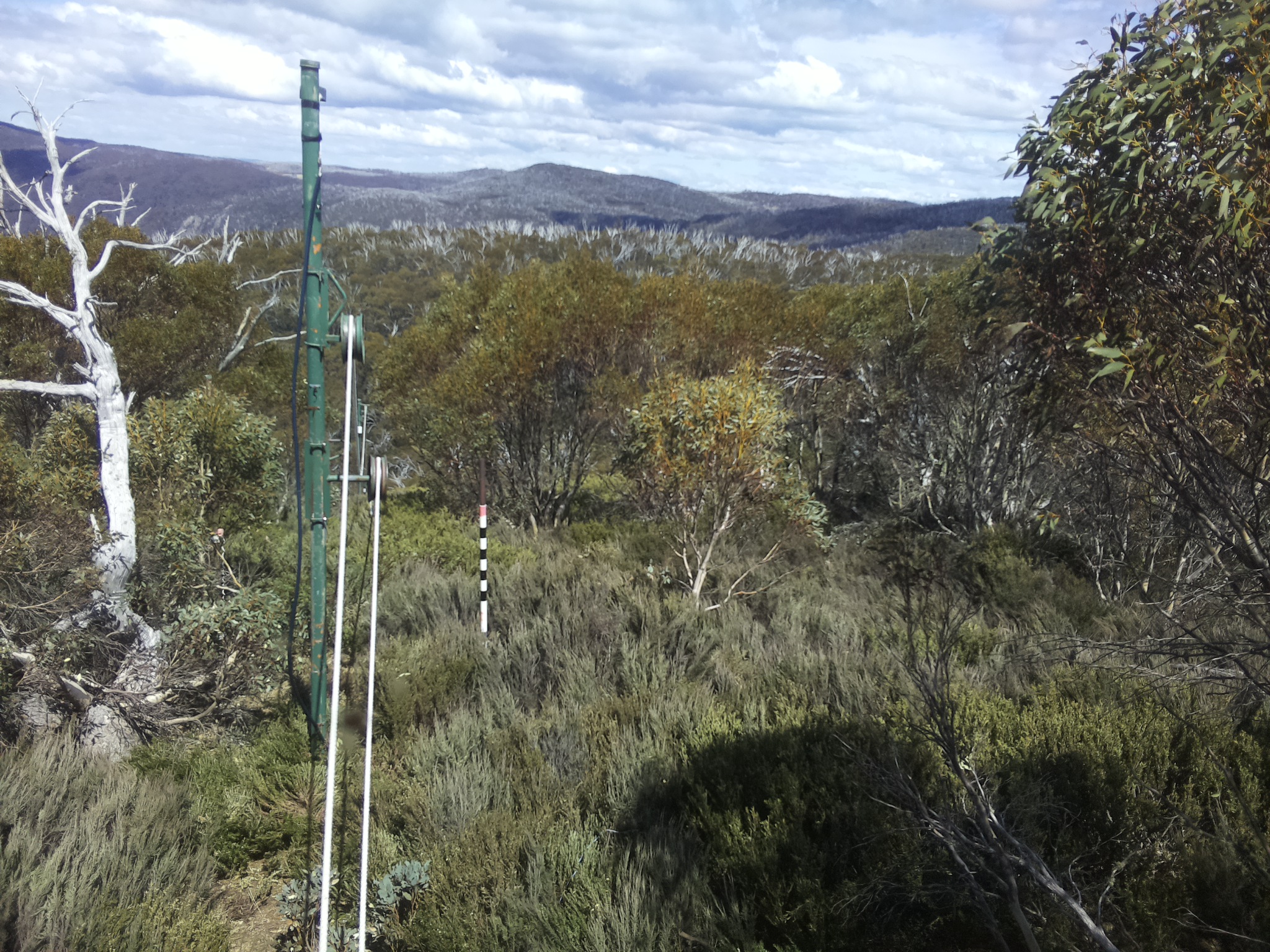Bogong Web Cam 2:20pm Friday 24th of October 2025